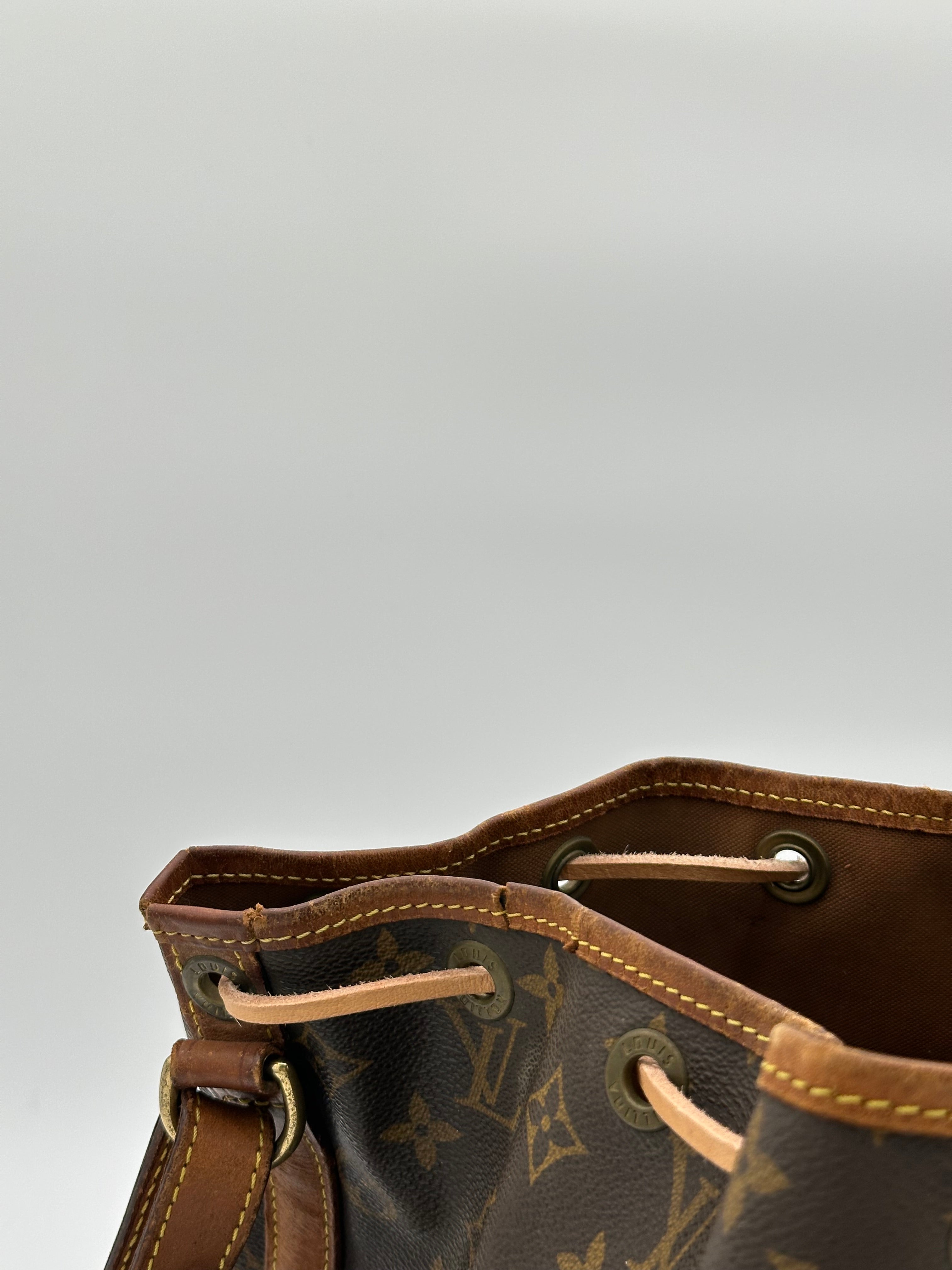 Louis Vuitton Petit Noé