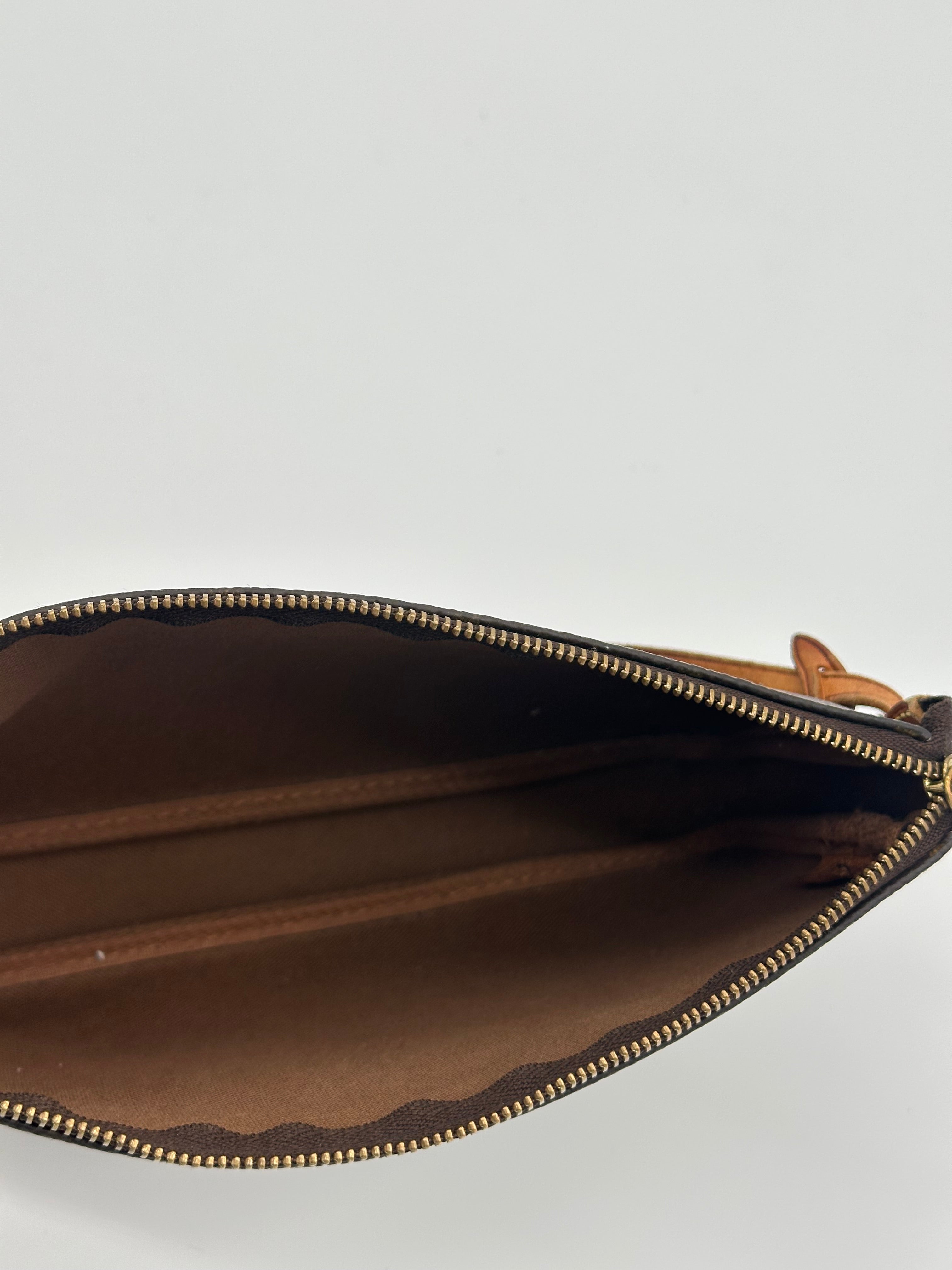 Louis Vuitton Pochette Accessoires