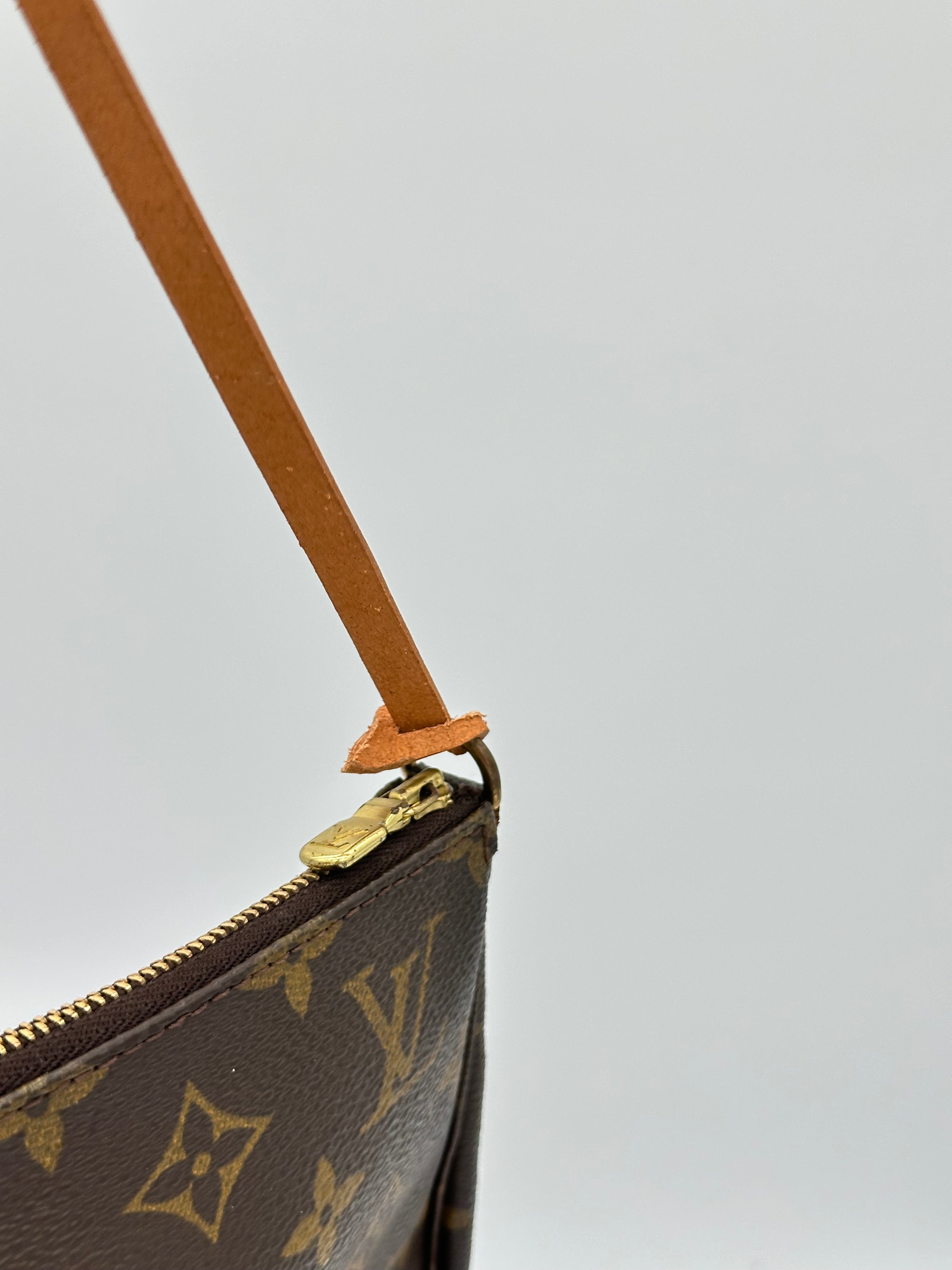 Louis Vuitton Pochette Accessoires