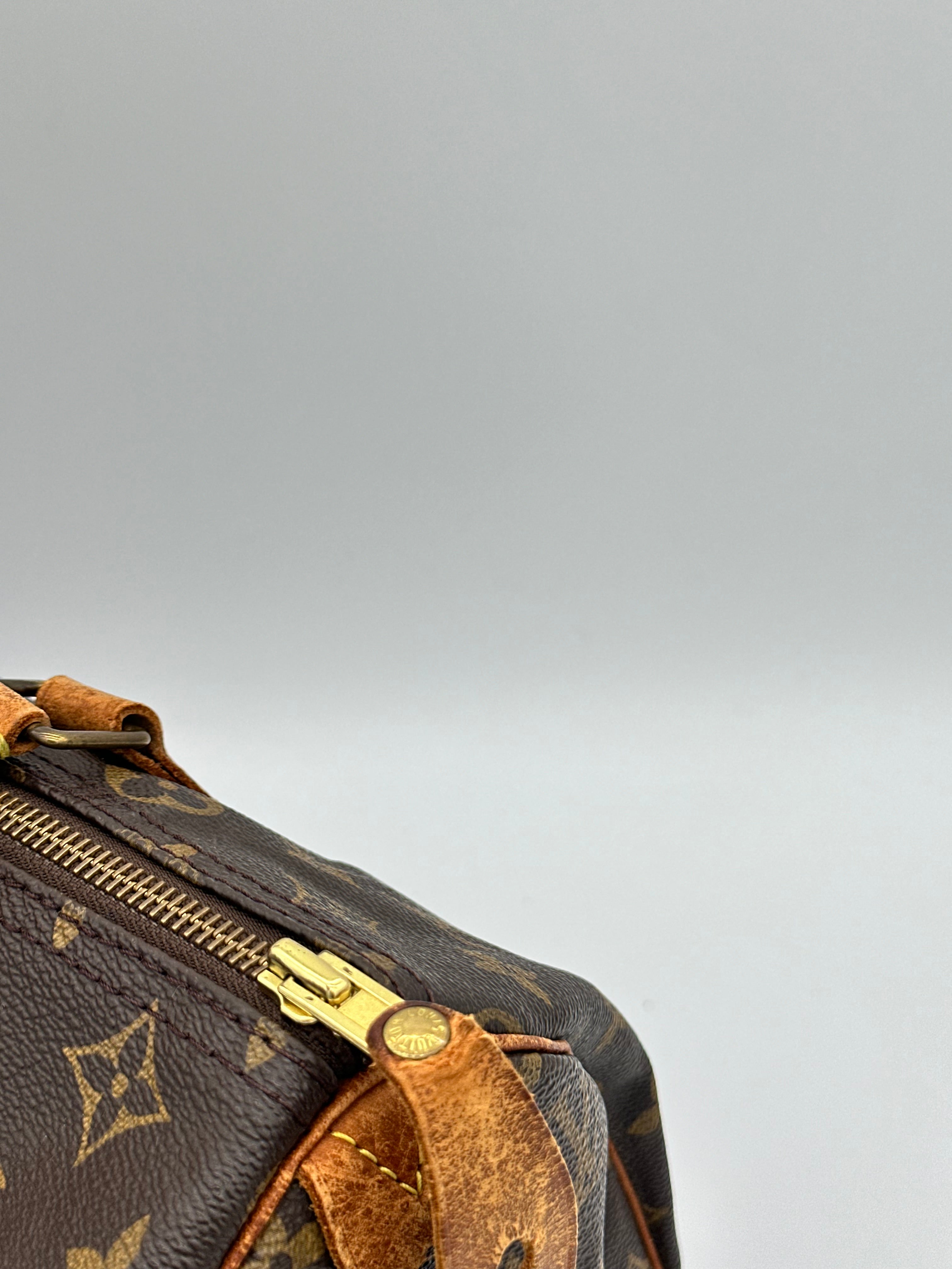 Louis Vuitton Speedy 30