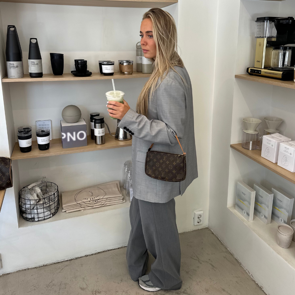 Which Louis Vuitton Pochette Accessoires Styles Are There?