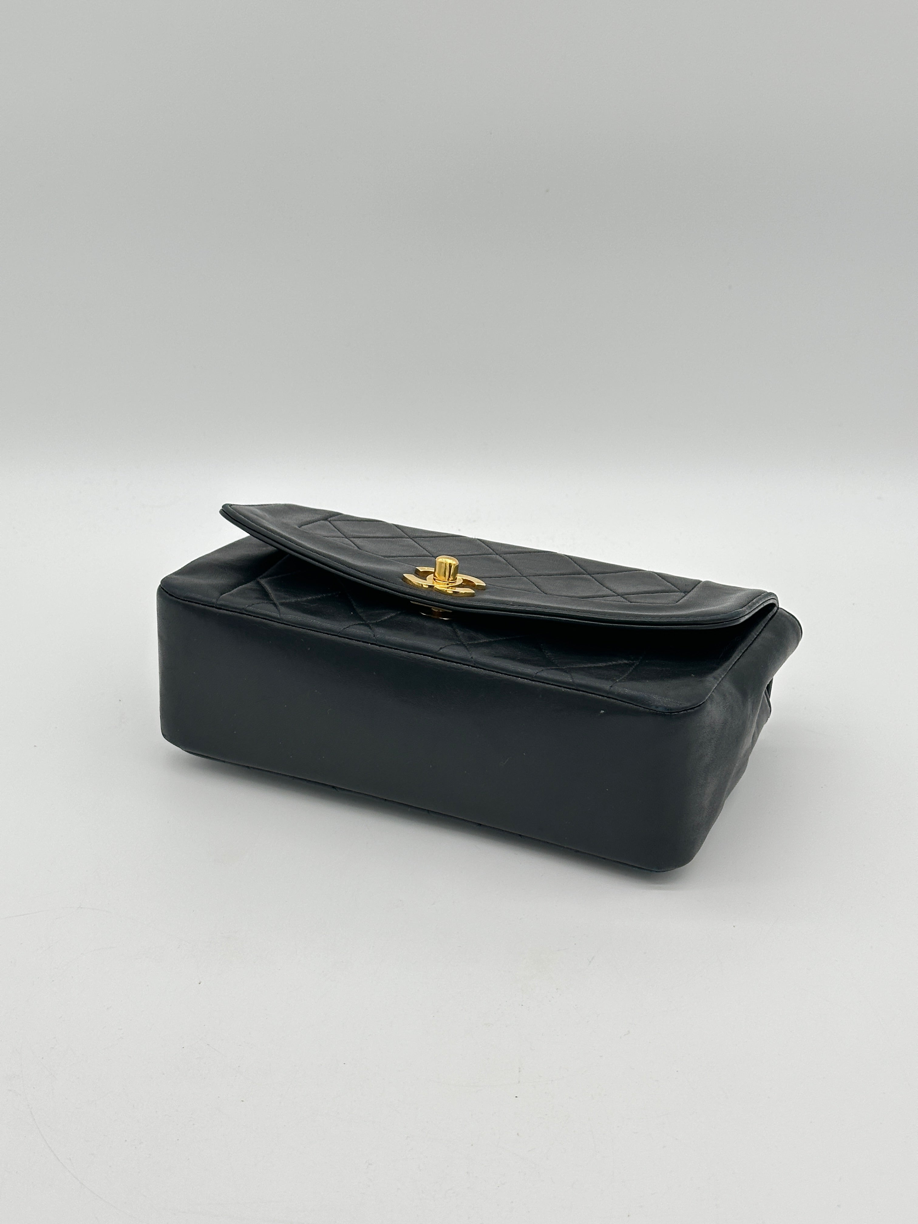 Chanel Diana Small Bag