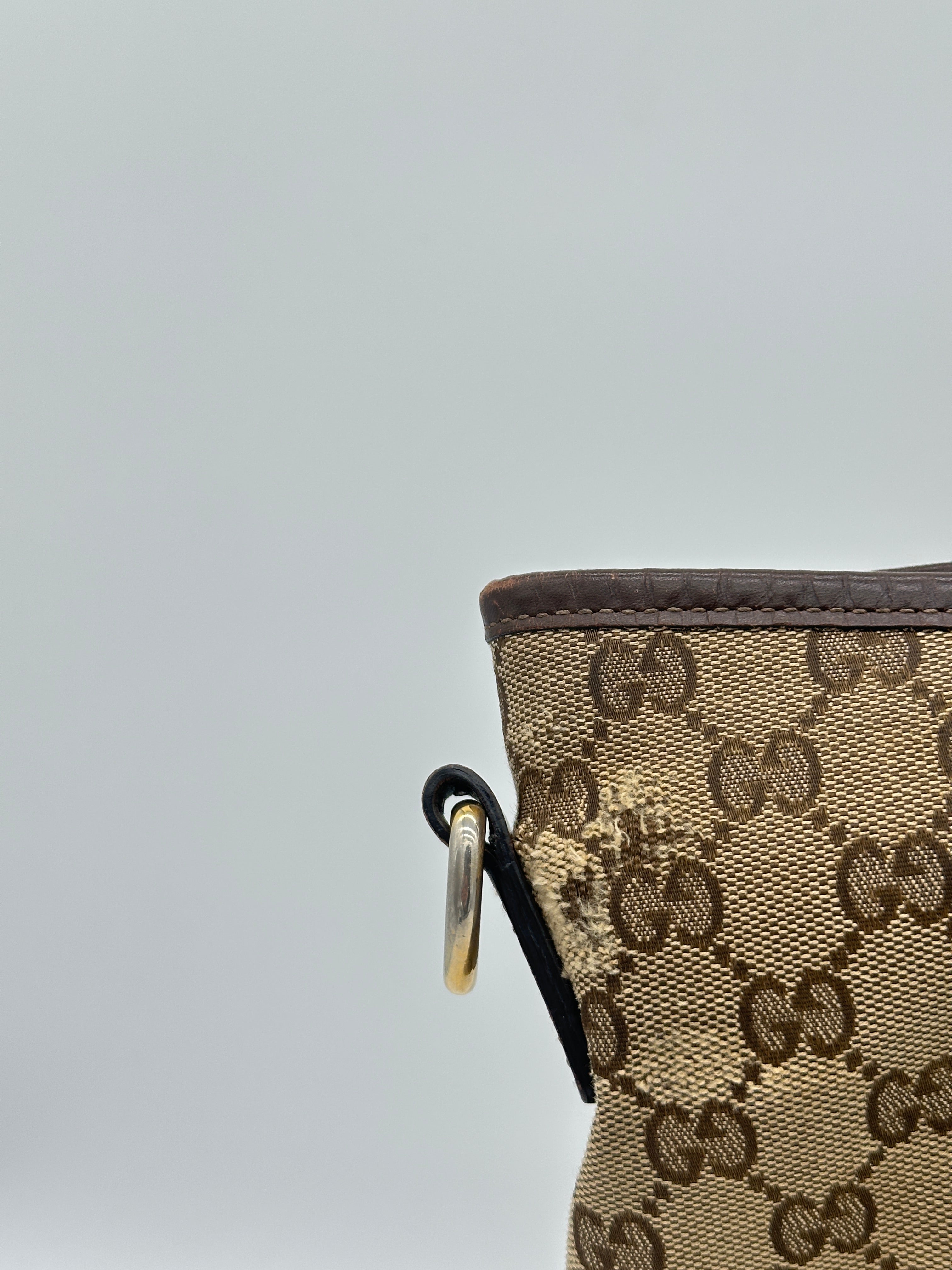 Gucci Marron Canvas