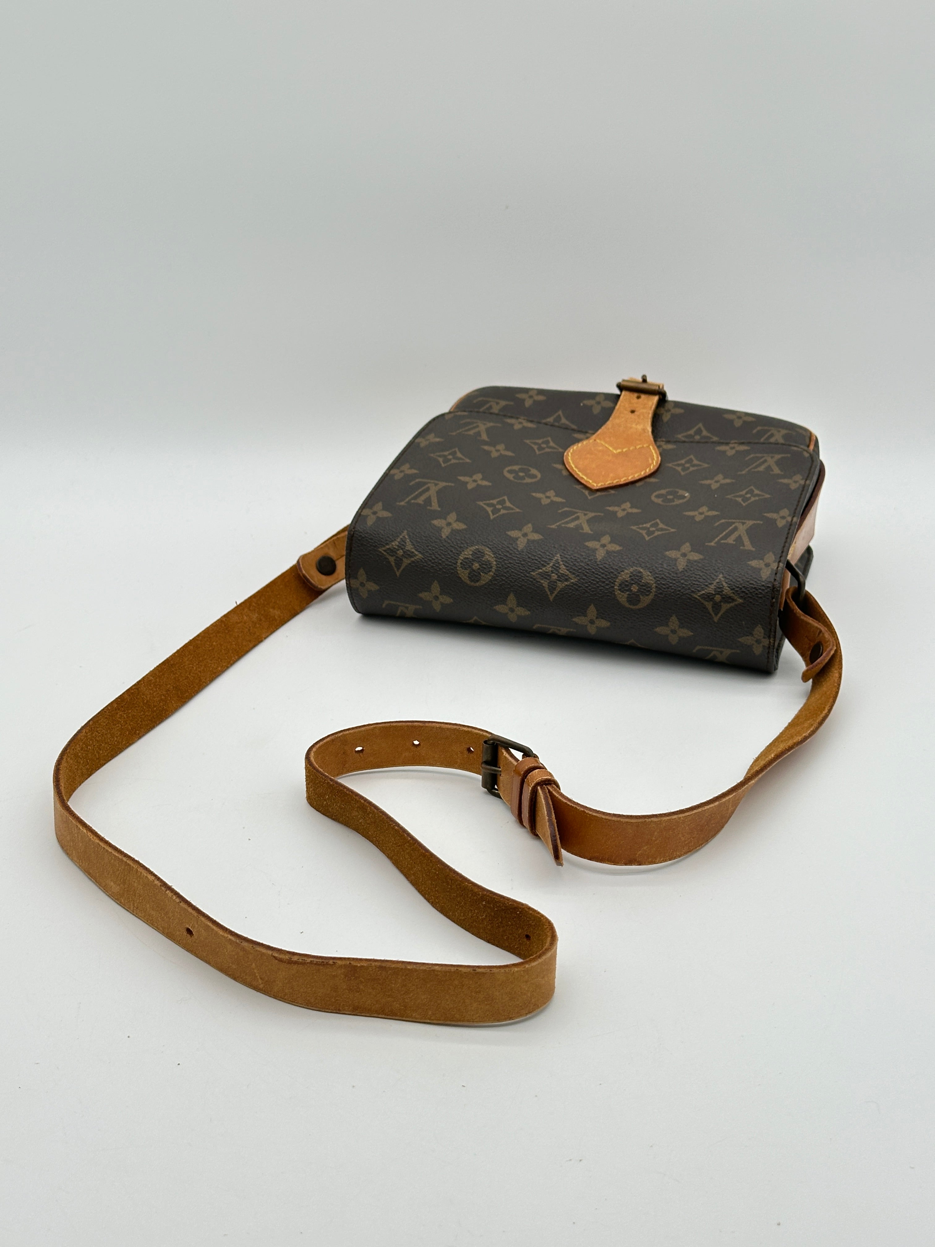 Louis Vuitton Cartouchiere MM
