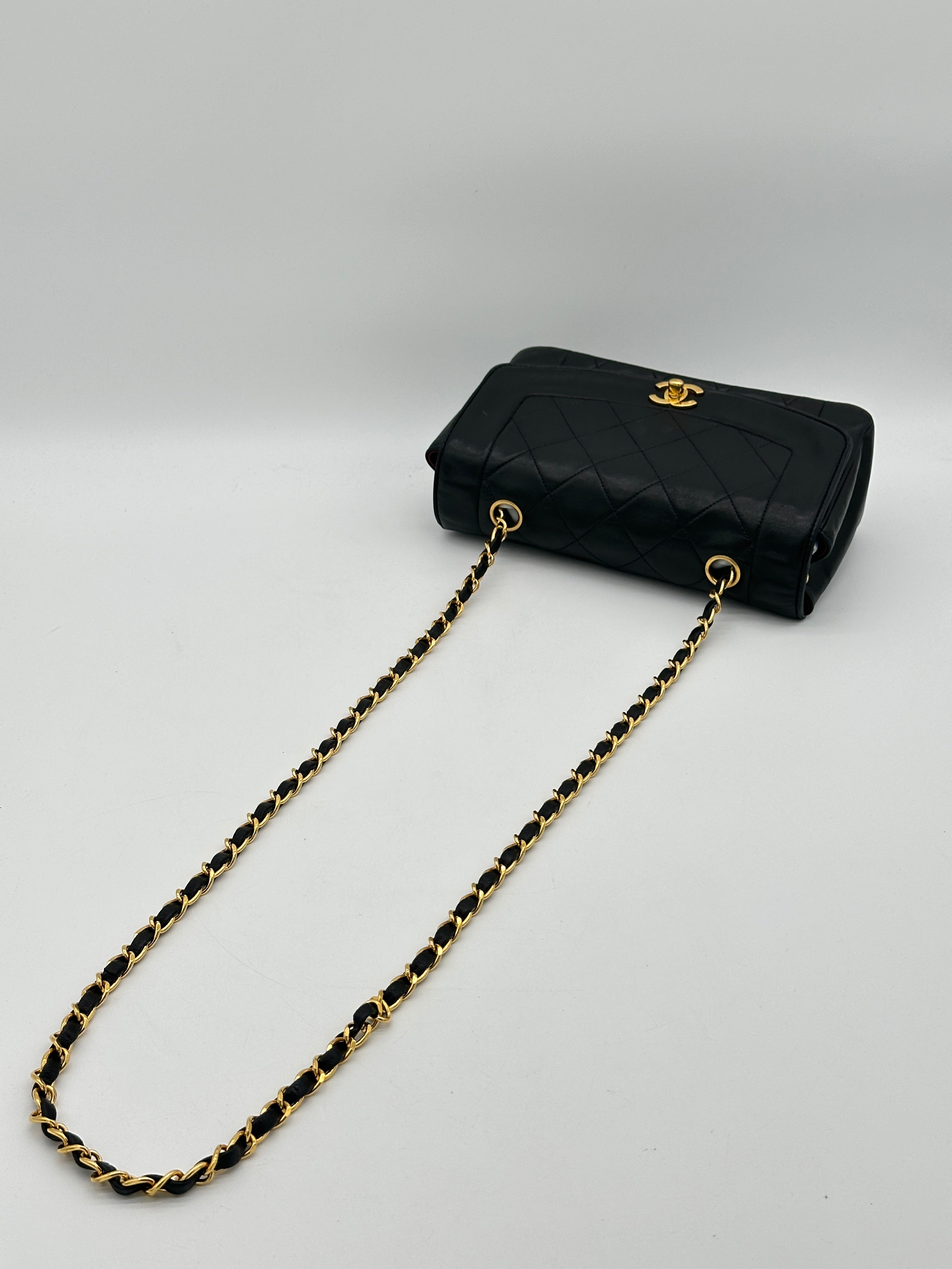 Chanel Diana Small Bag