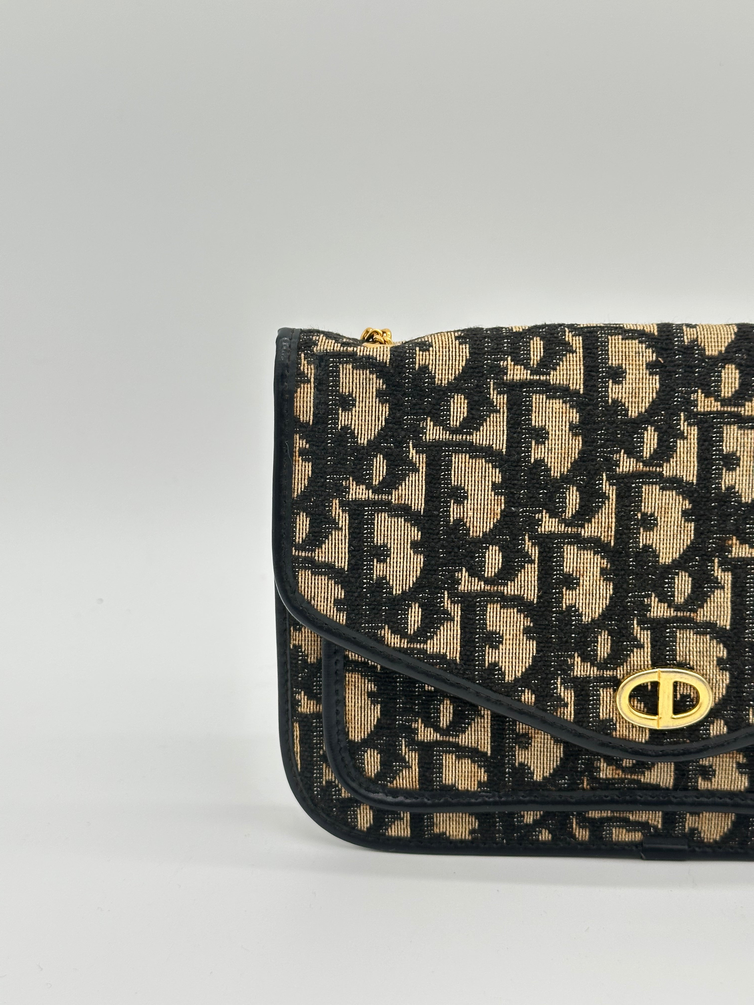 Dior Oblique CD Canvas
