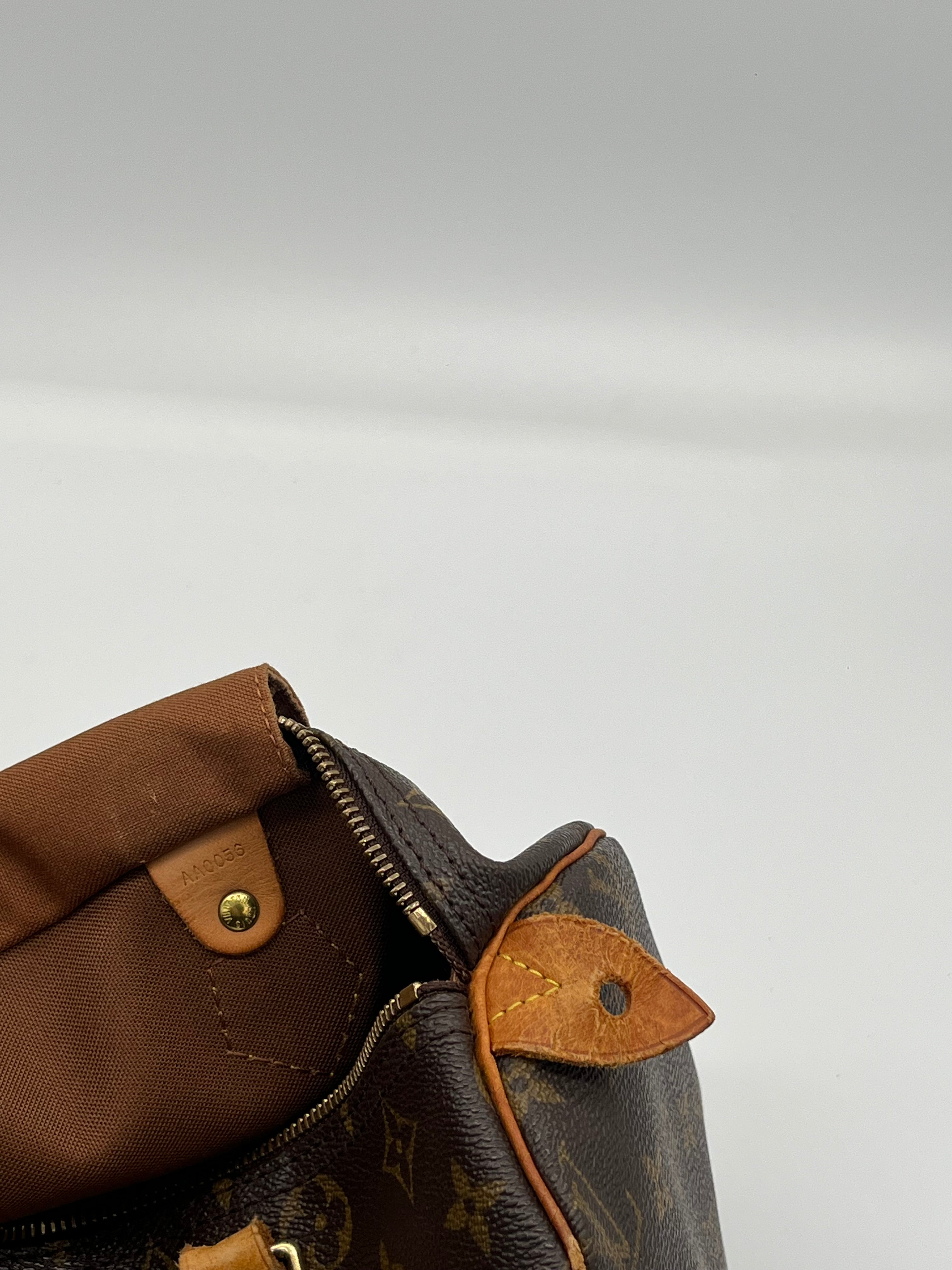 Louis Vuitton Speedy 30