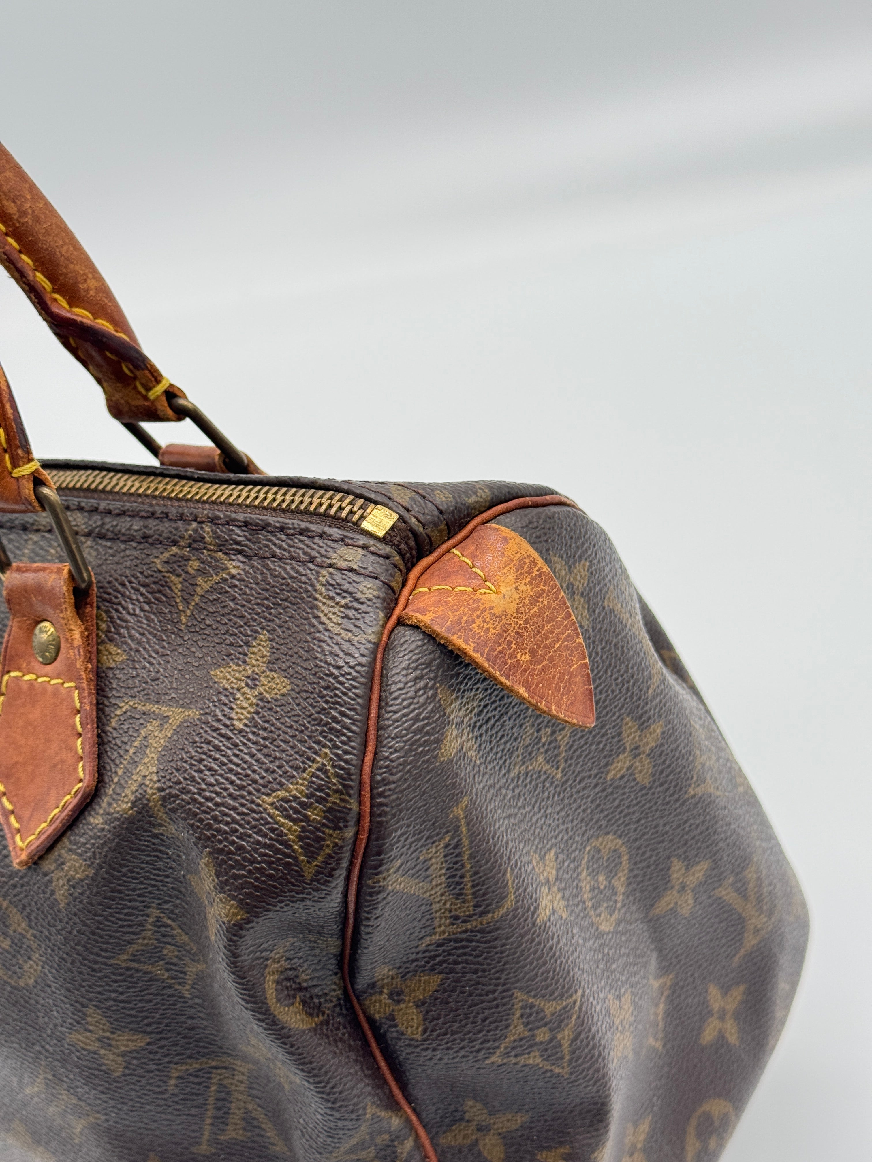 Louis Vuitton Speedy 25