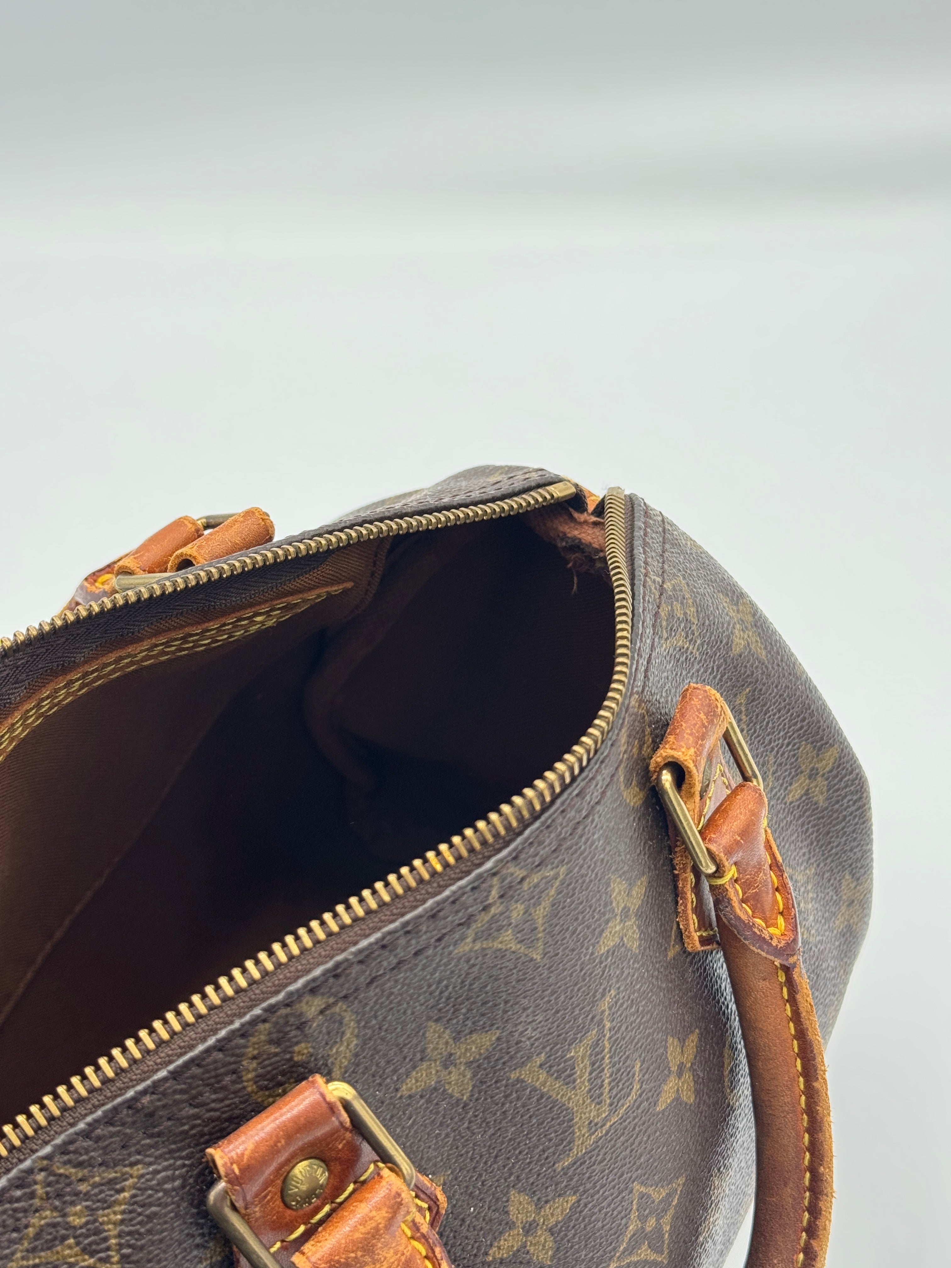 Louis Vuitton Speedy 25