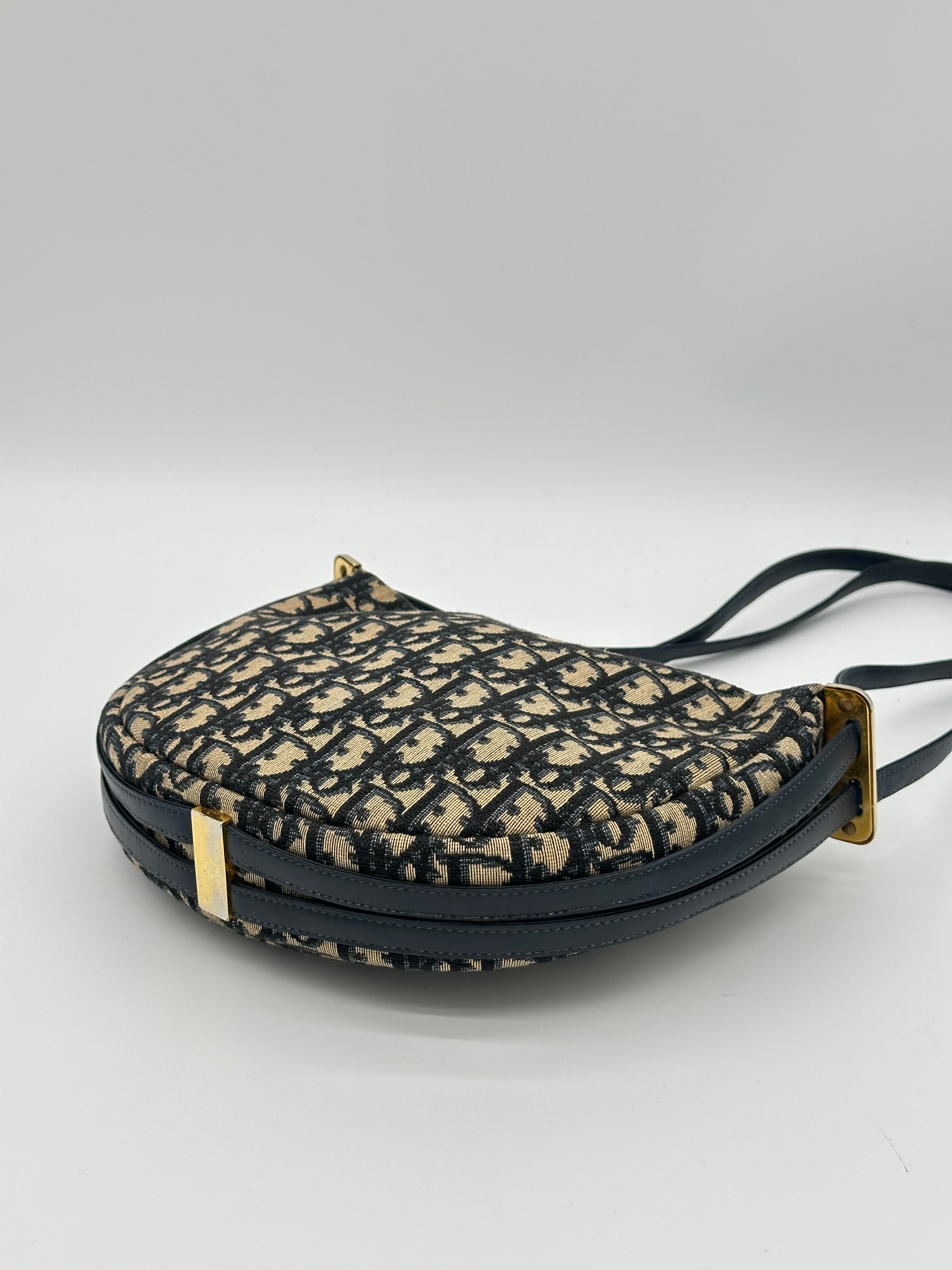 Dior Halfmoon Oblique