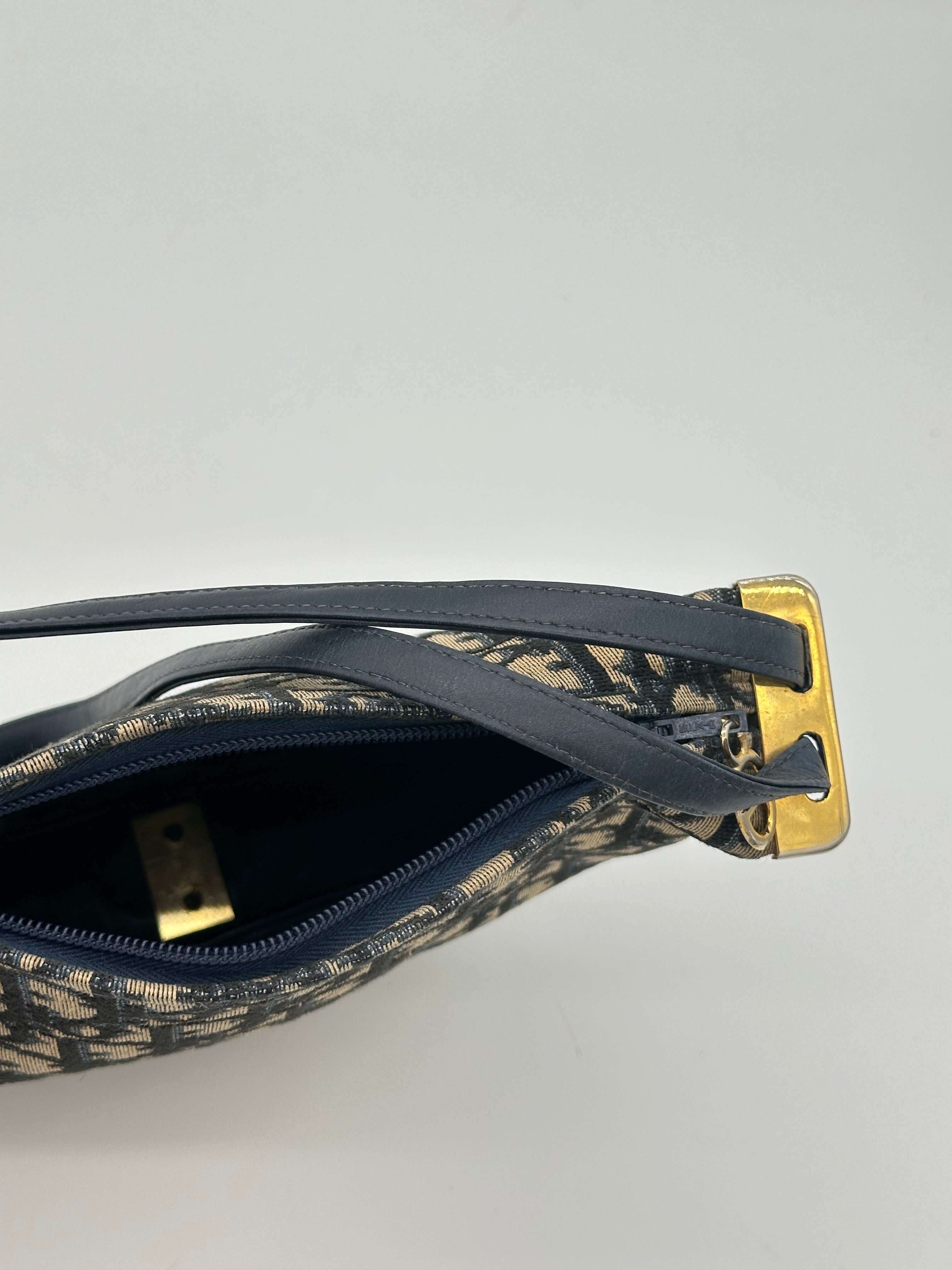 Dior Halfmoon Oblique