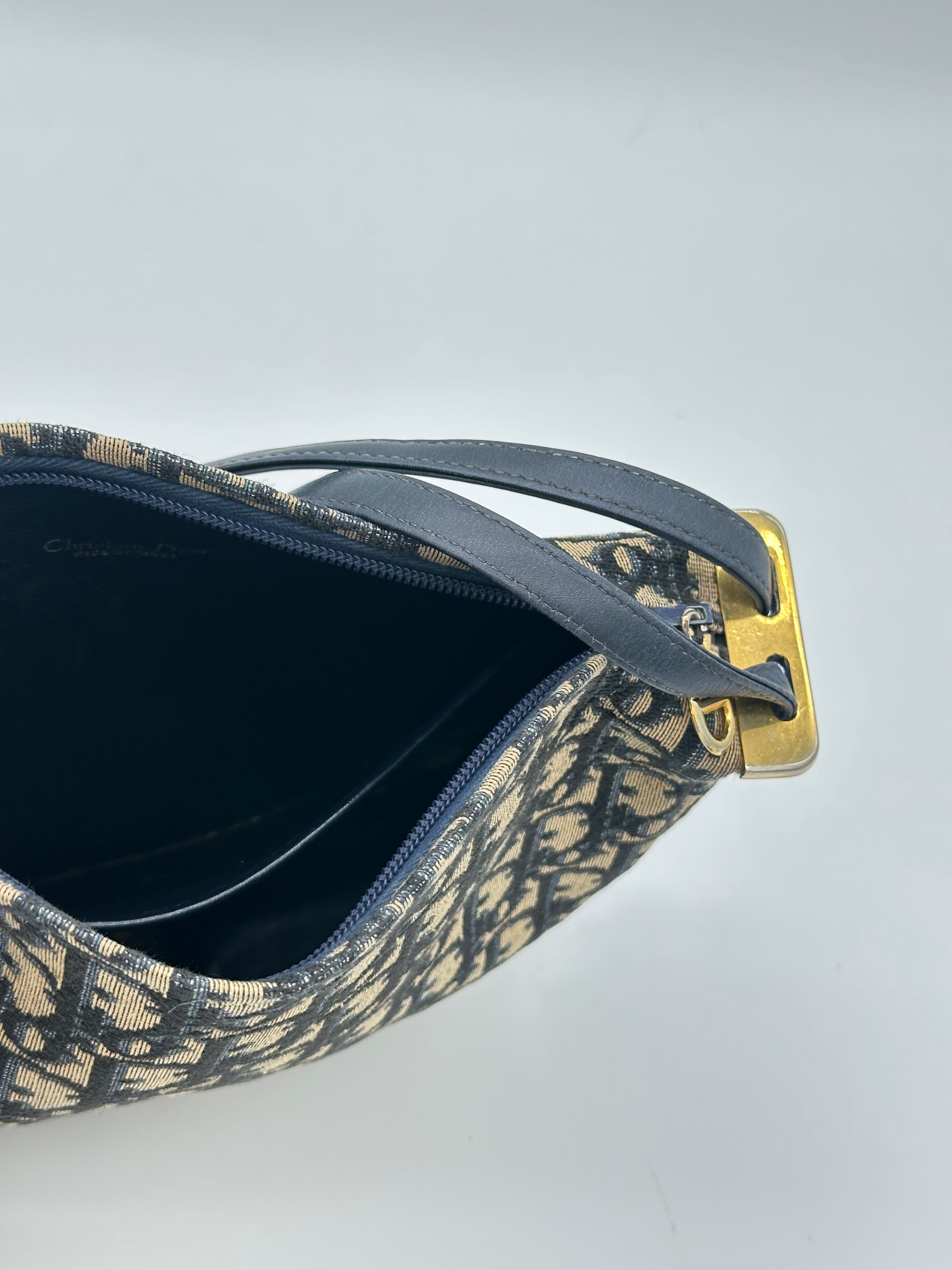 Dior Halfmoon Oblique