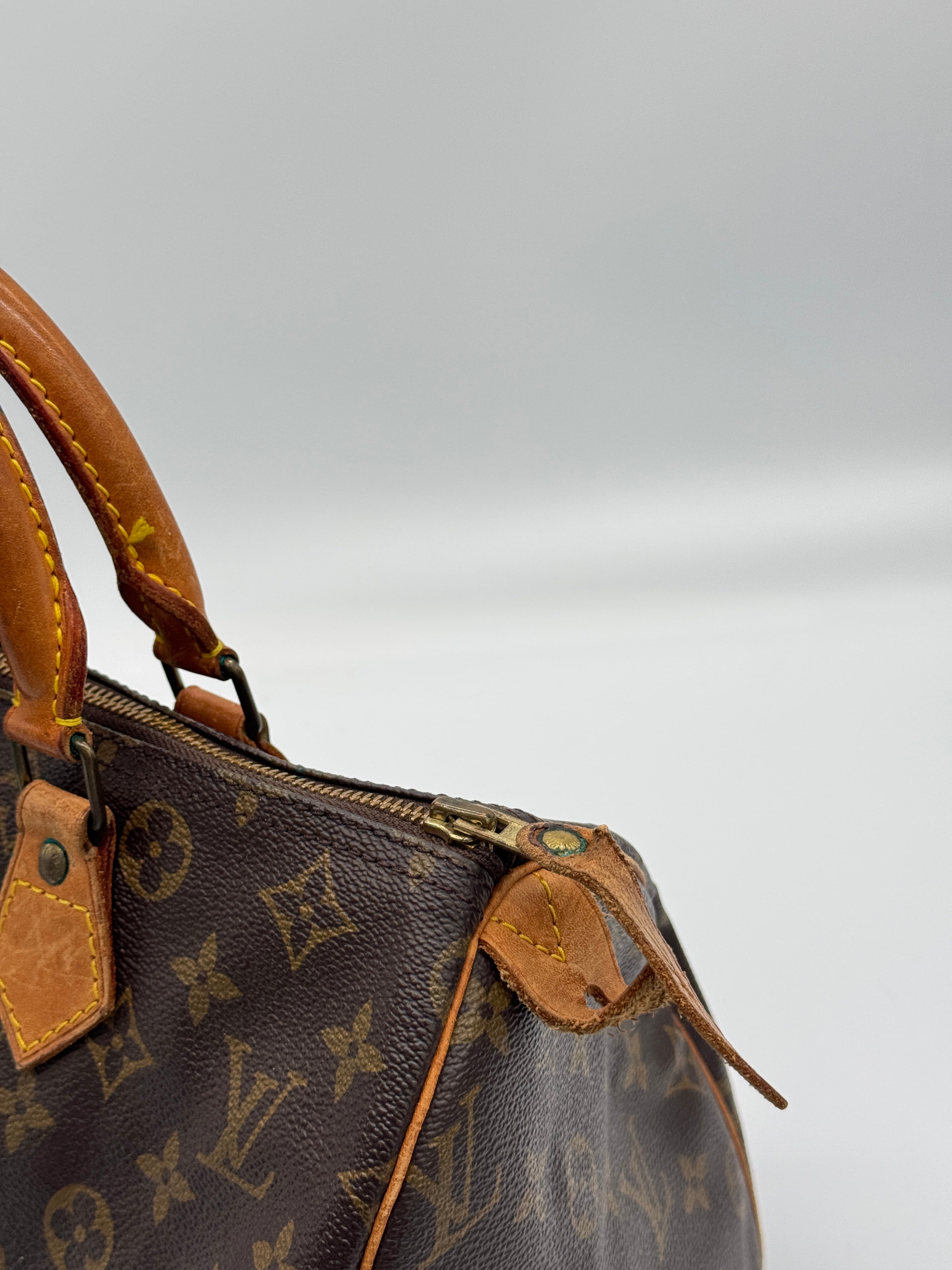 Louis Vuitton Speedy 30