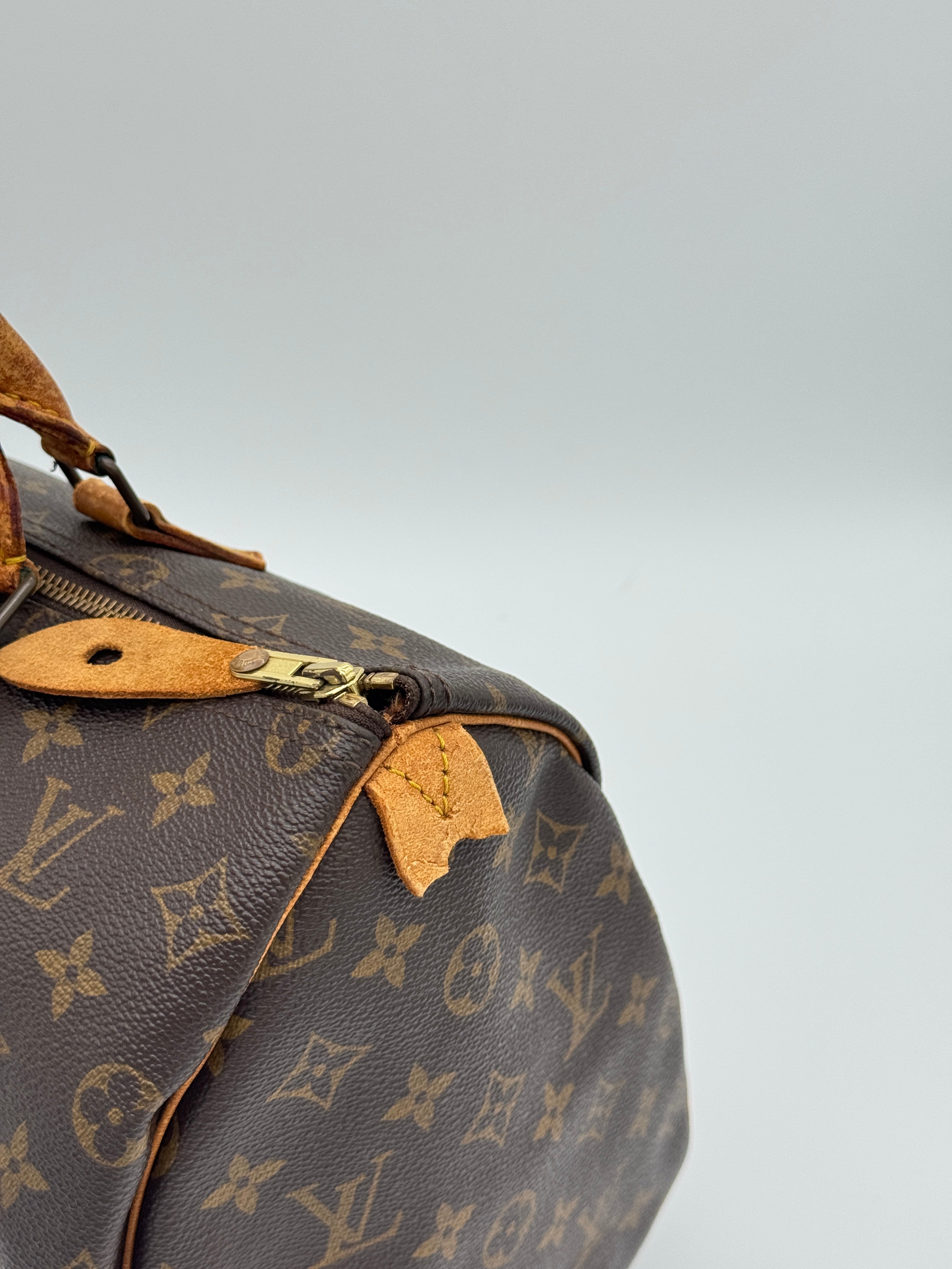 Louis Vuitton Speedy 35