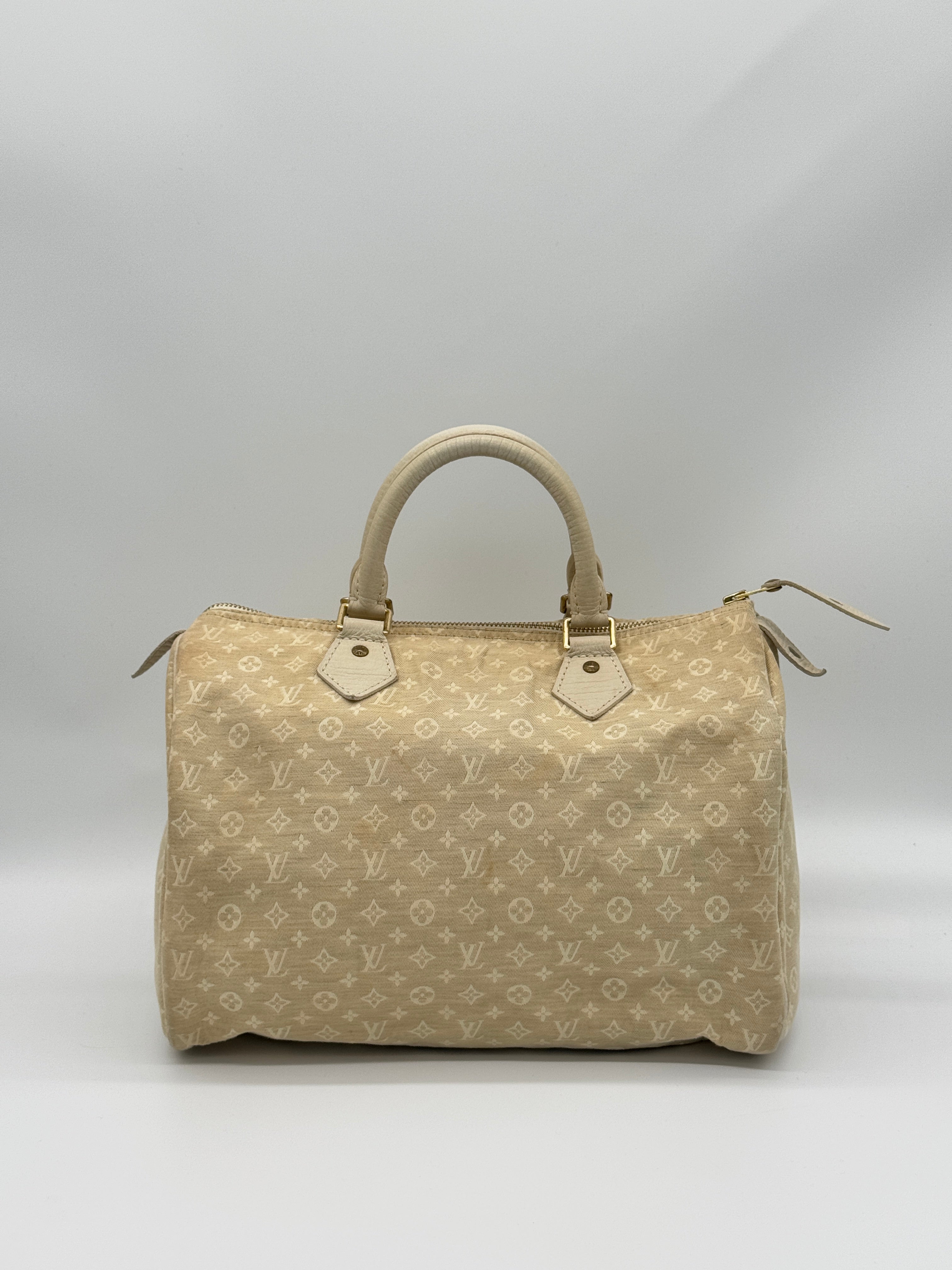 Louis Vuitton Mini Lin Speedy 30