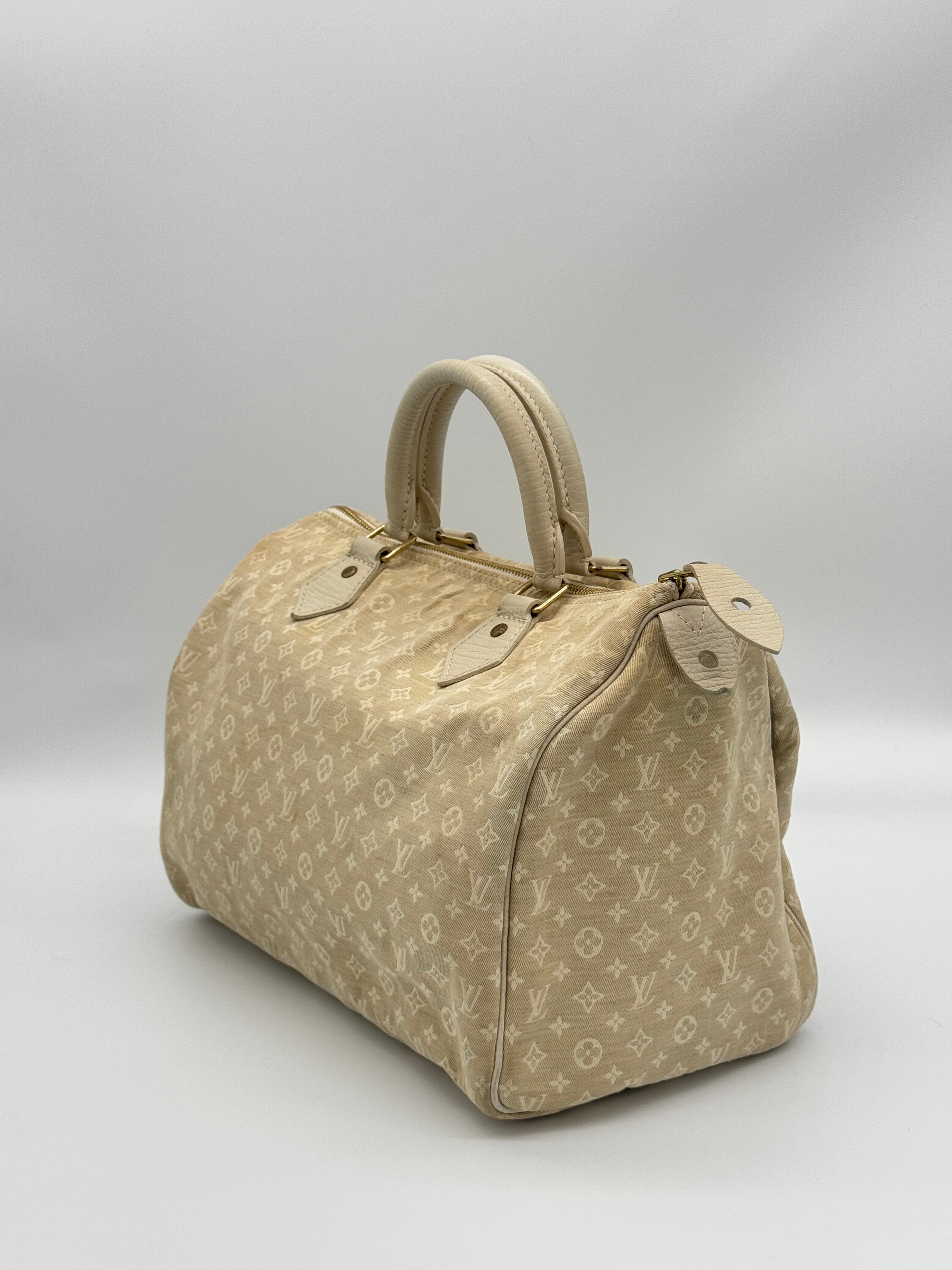 Louis Vuitton Mini Lin Speedy 30