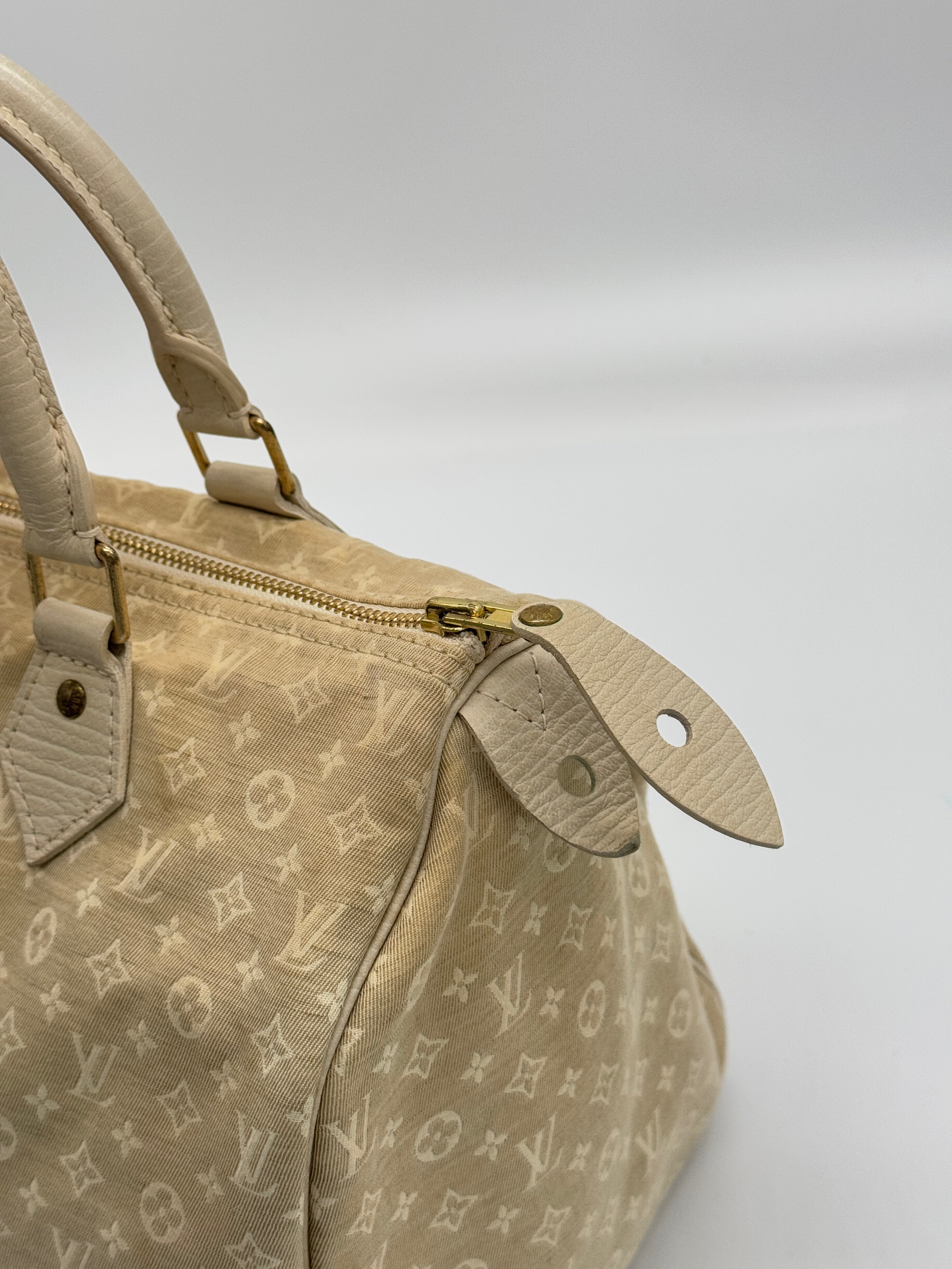 Louis Vuitton Mini Lin Speedy 30