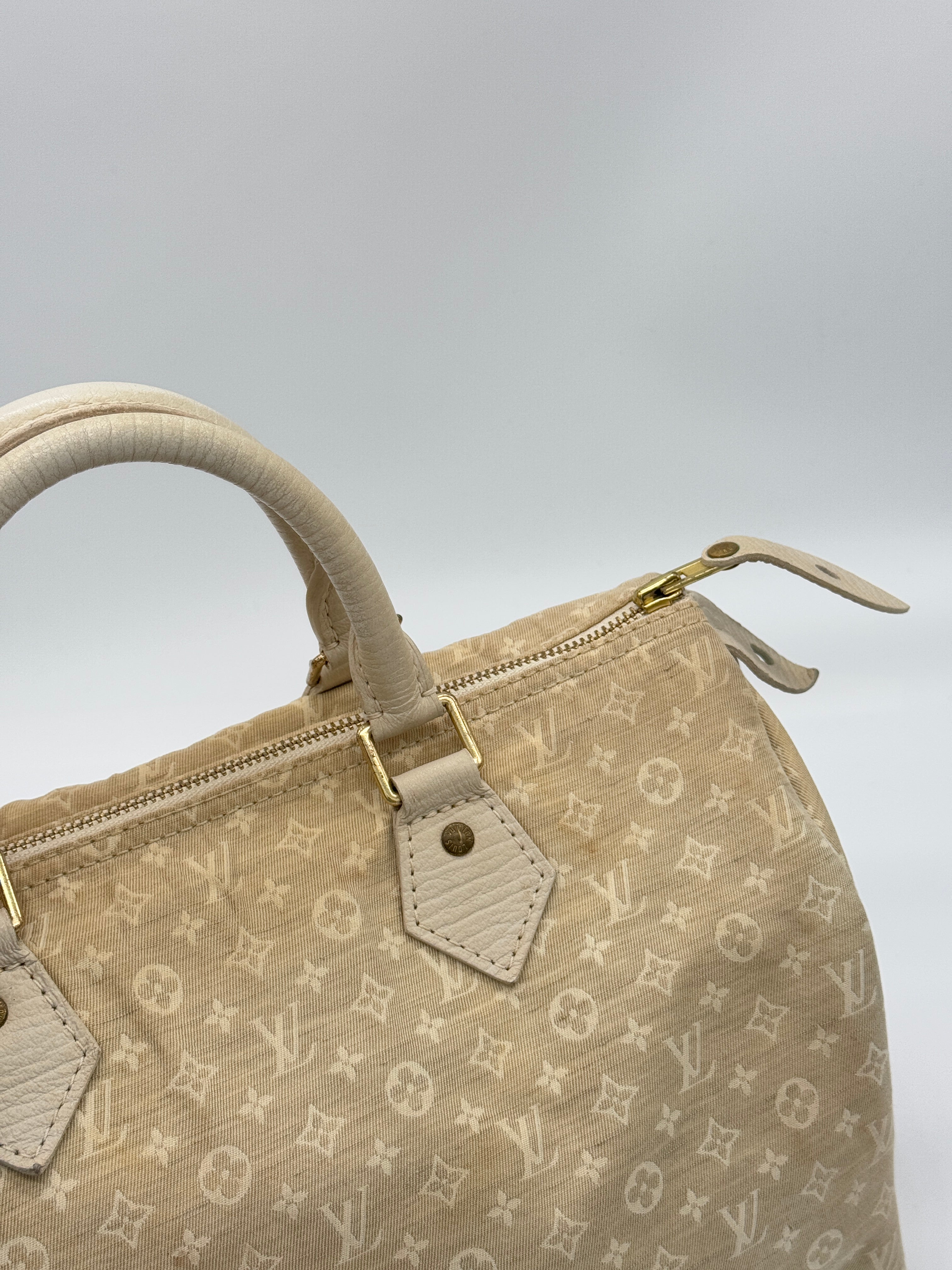 Louis Vuitton Mini Lin Speedy 30