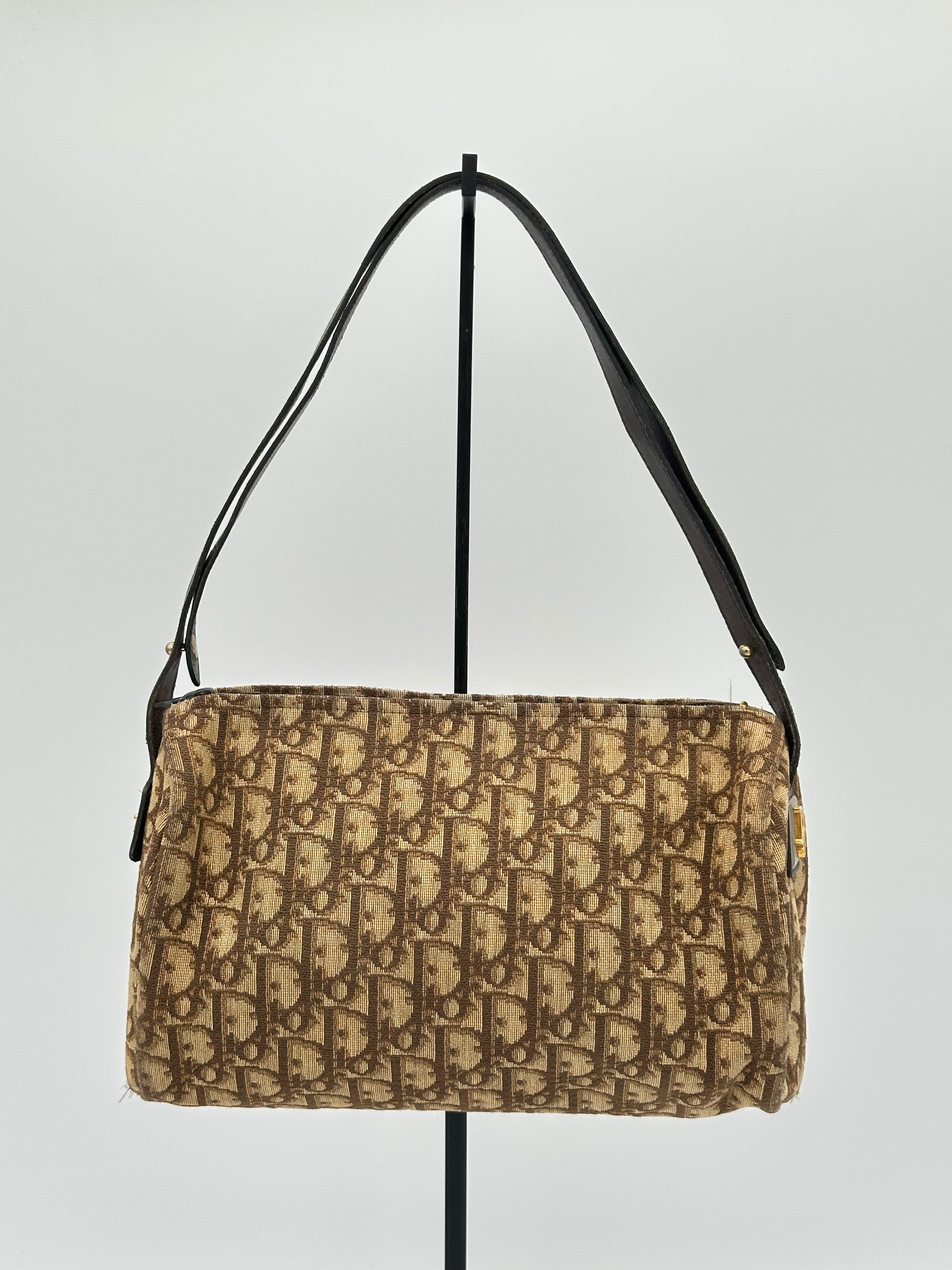 Dior Trotter Canvas