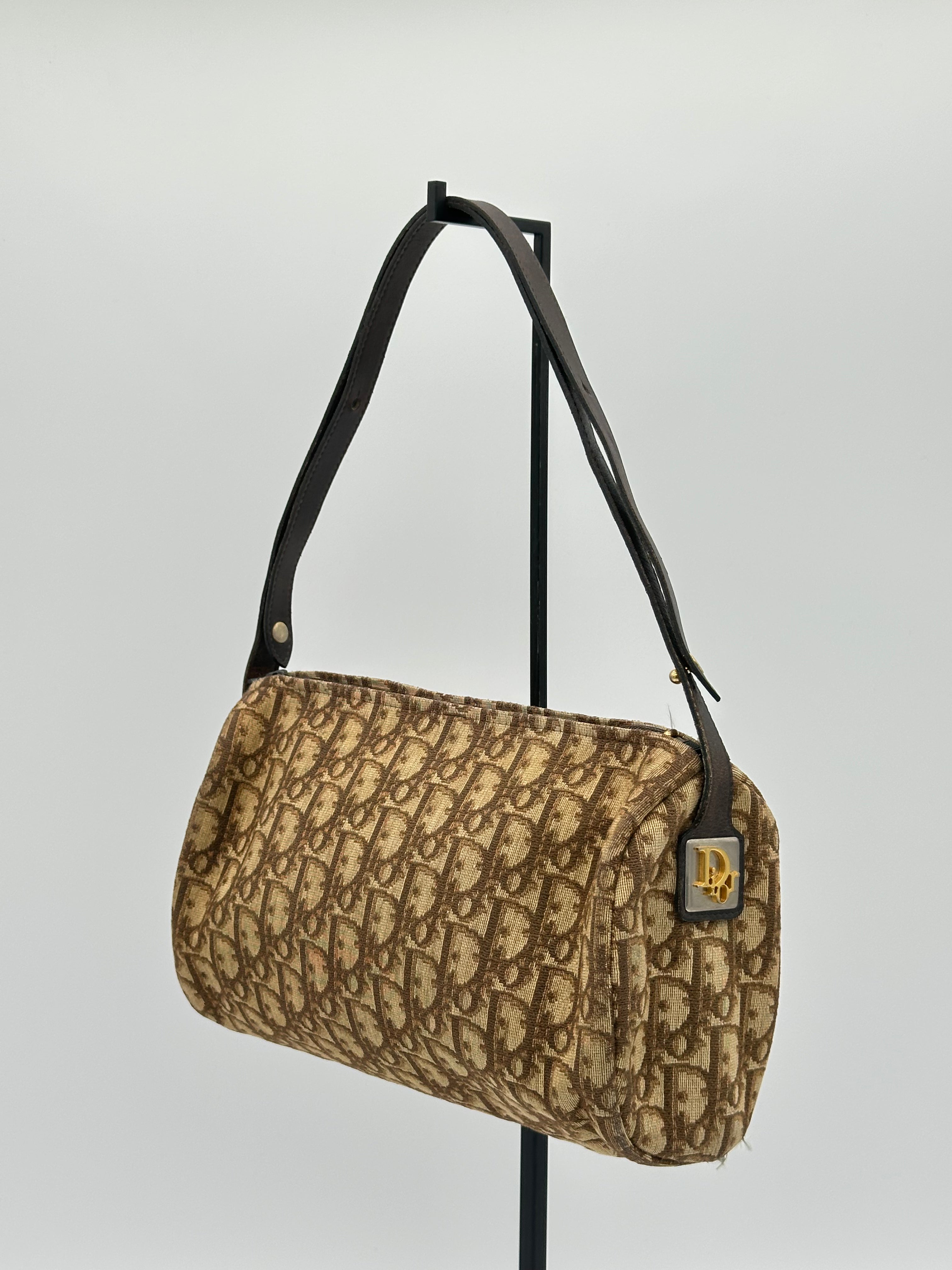 Dior Trotter Canvas