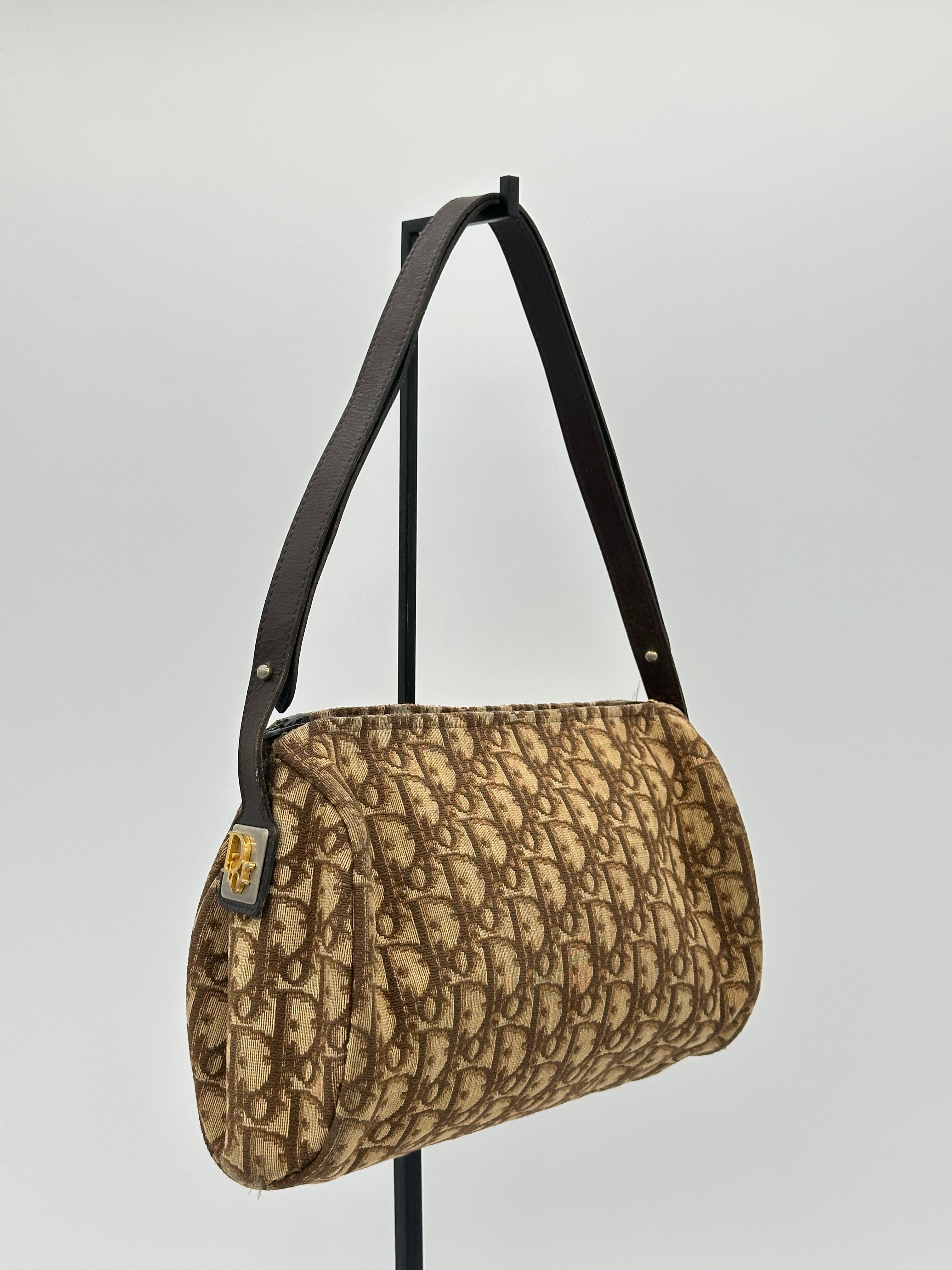 Dior Trotter Canvas