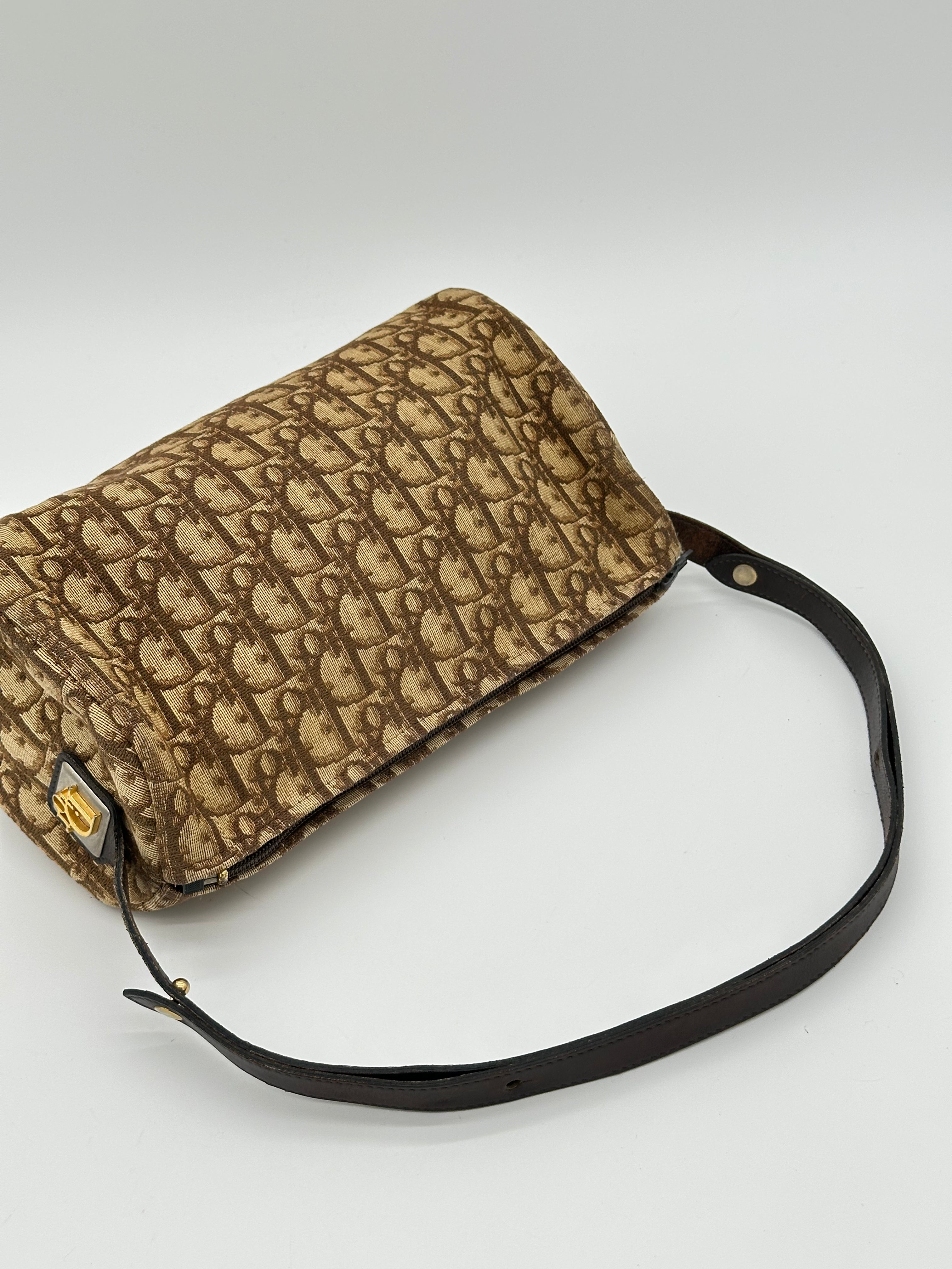 Dior Trotter Canvas