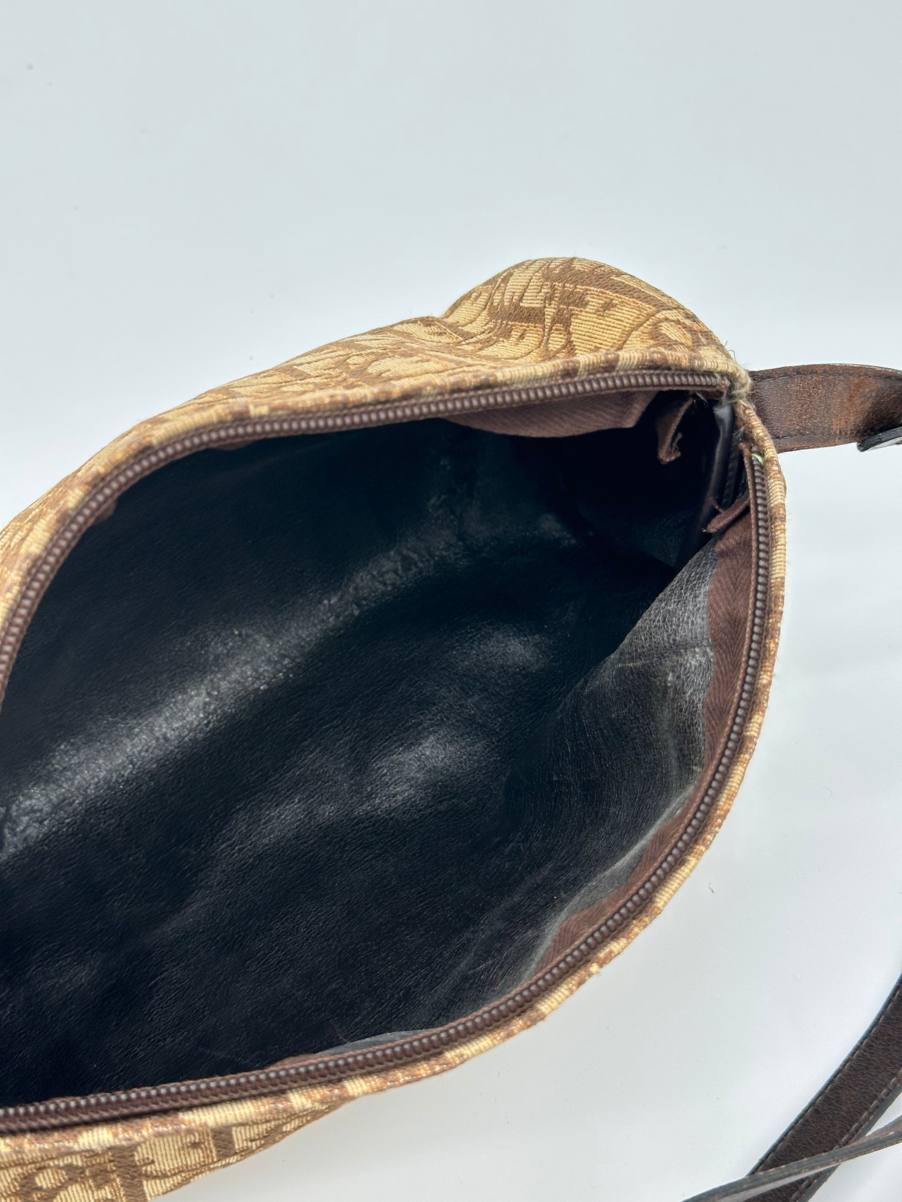 Dior Trotter Canvas
