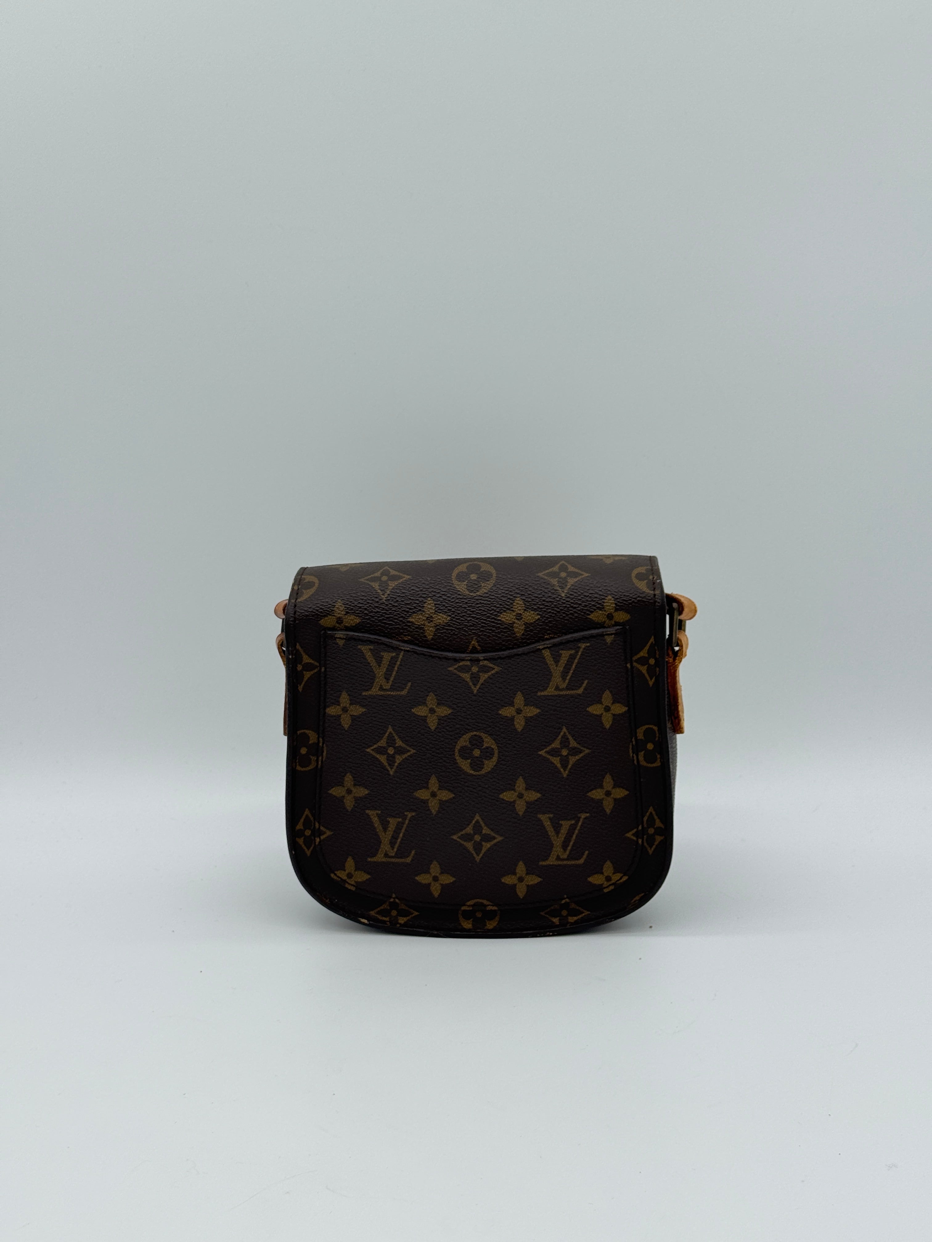 Louis Vuitton Saint Cloud PM