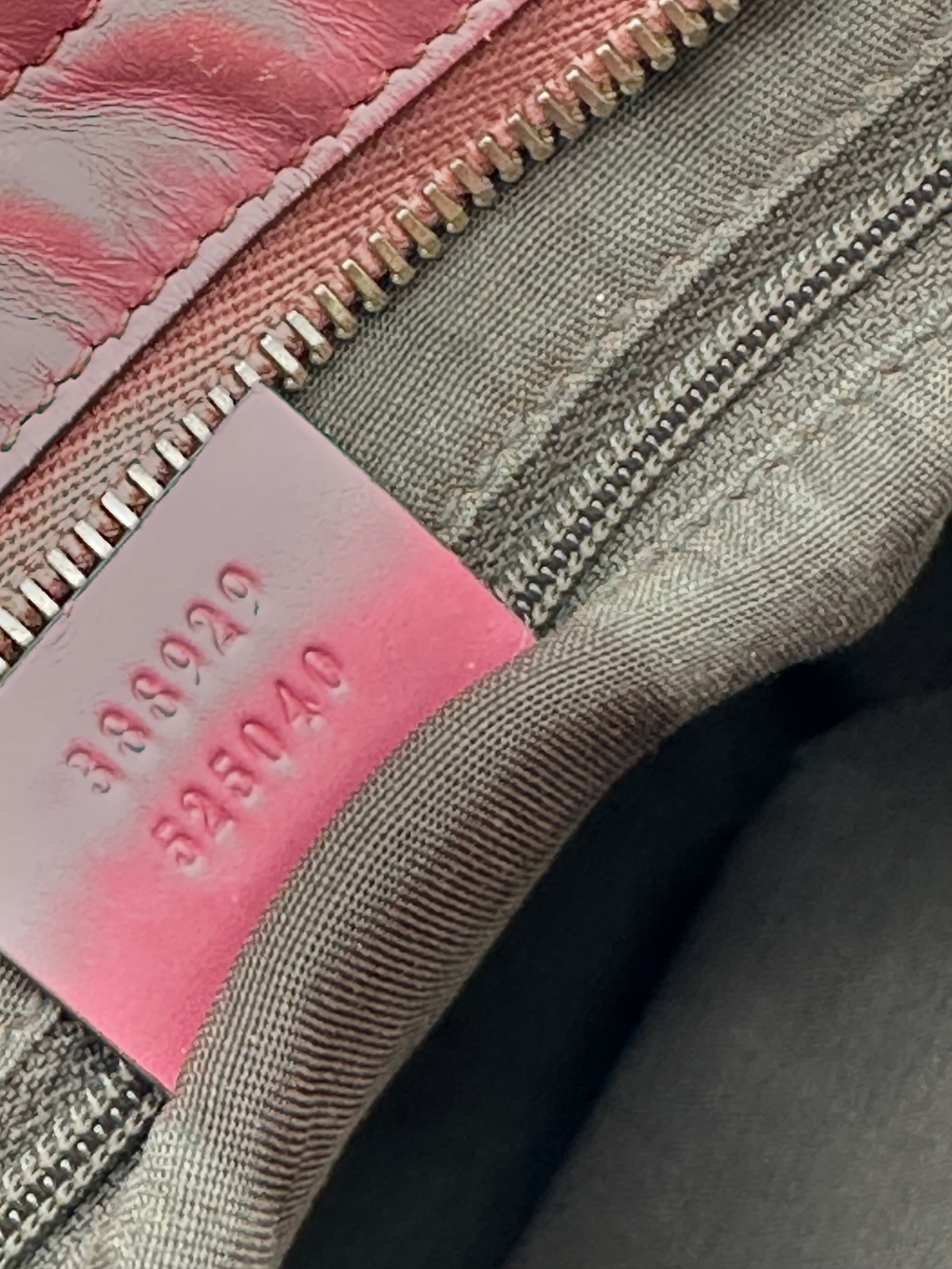 Gucci Marron Canvas