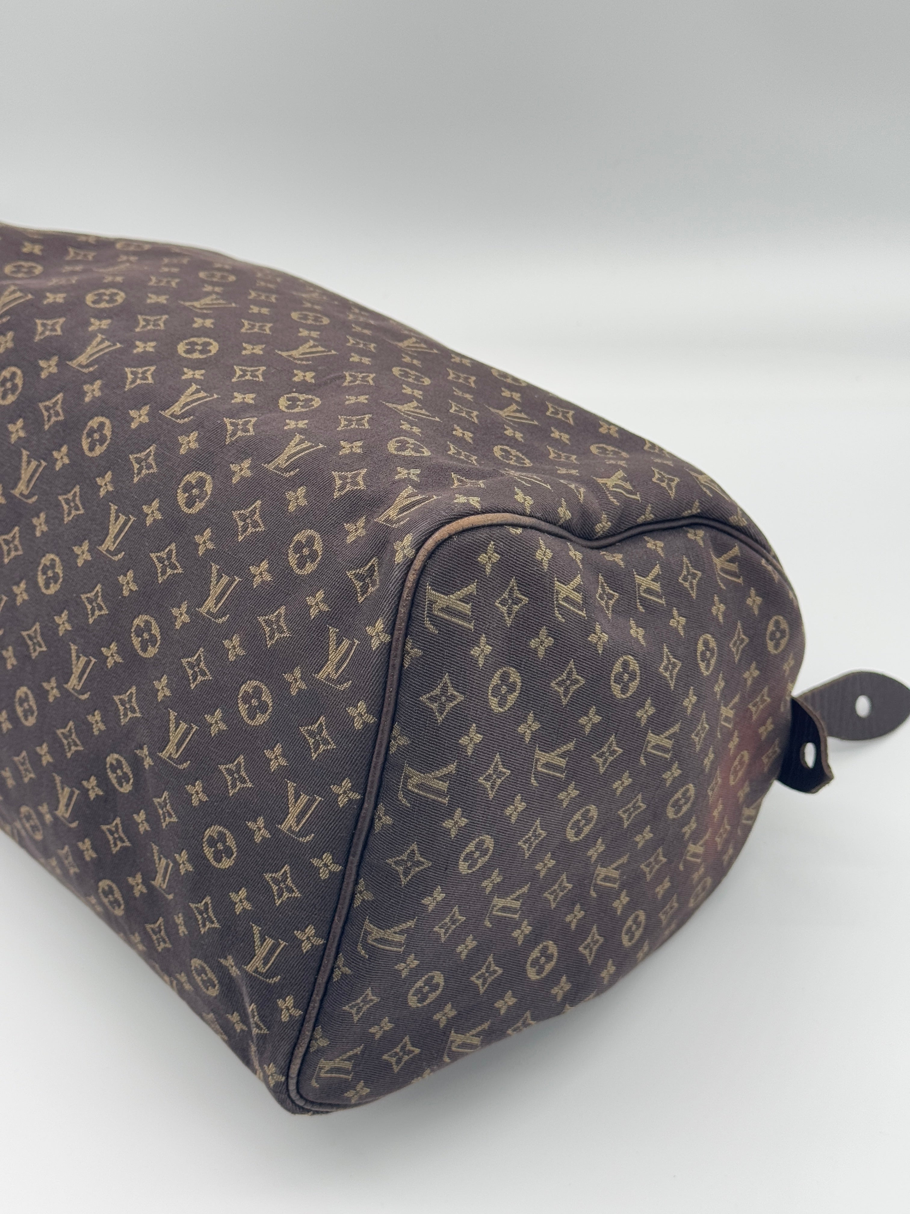 Louis Vuitton Mini Lin Speedy 30