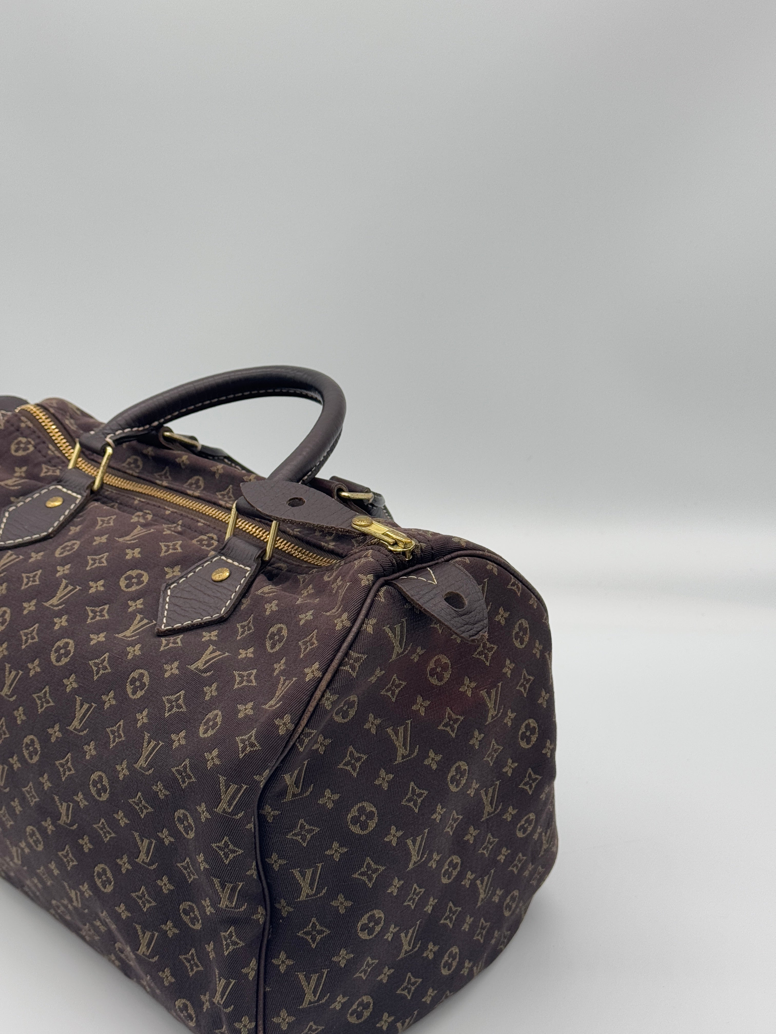 Louis Vuitton Mini Lin Speedy 30