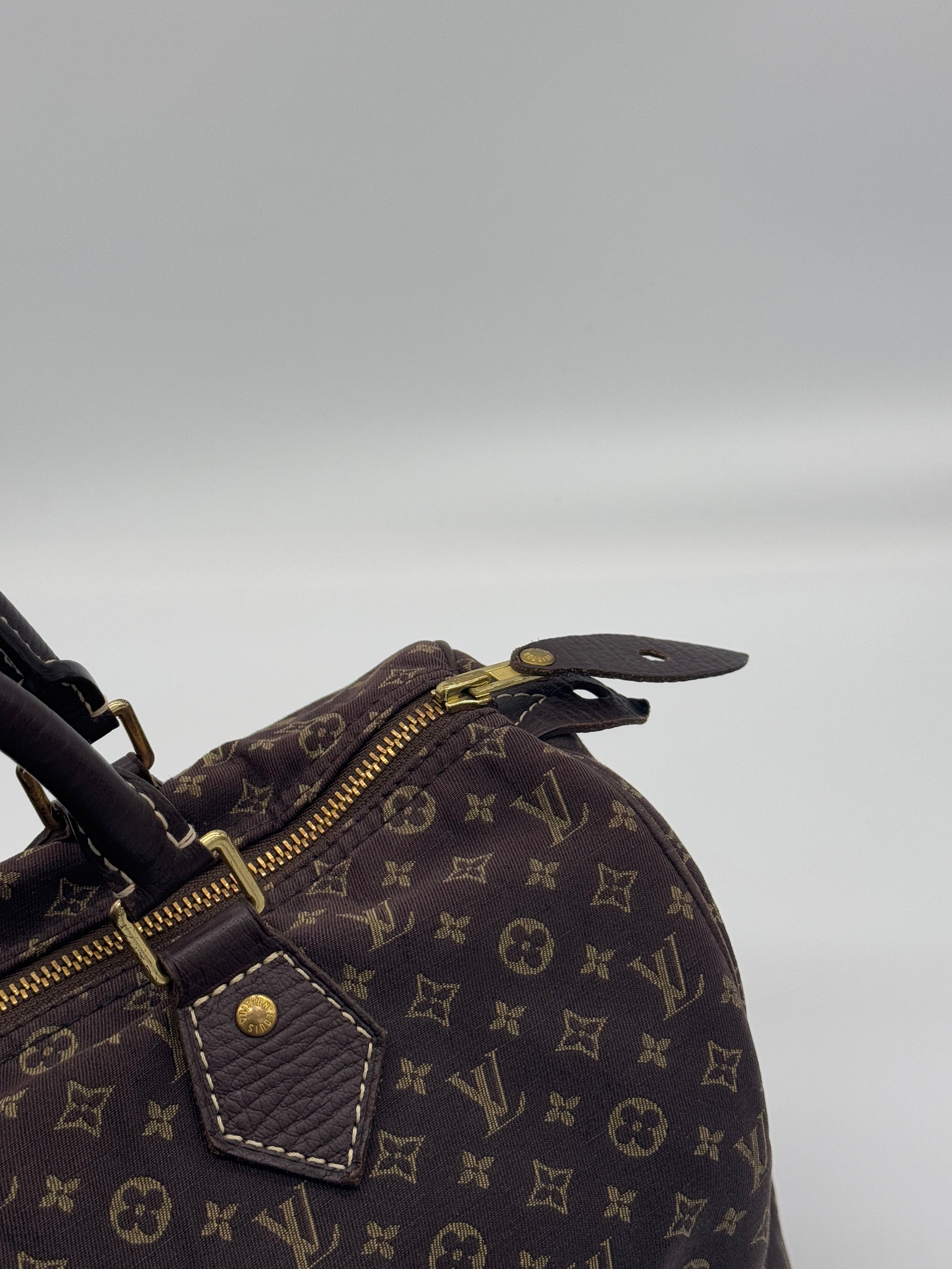 Louis Vuitton Mini Lin Speedy 30