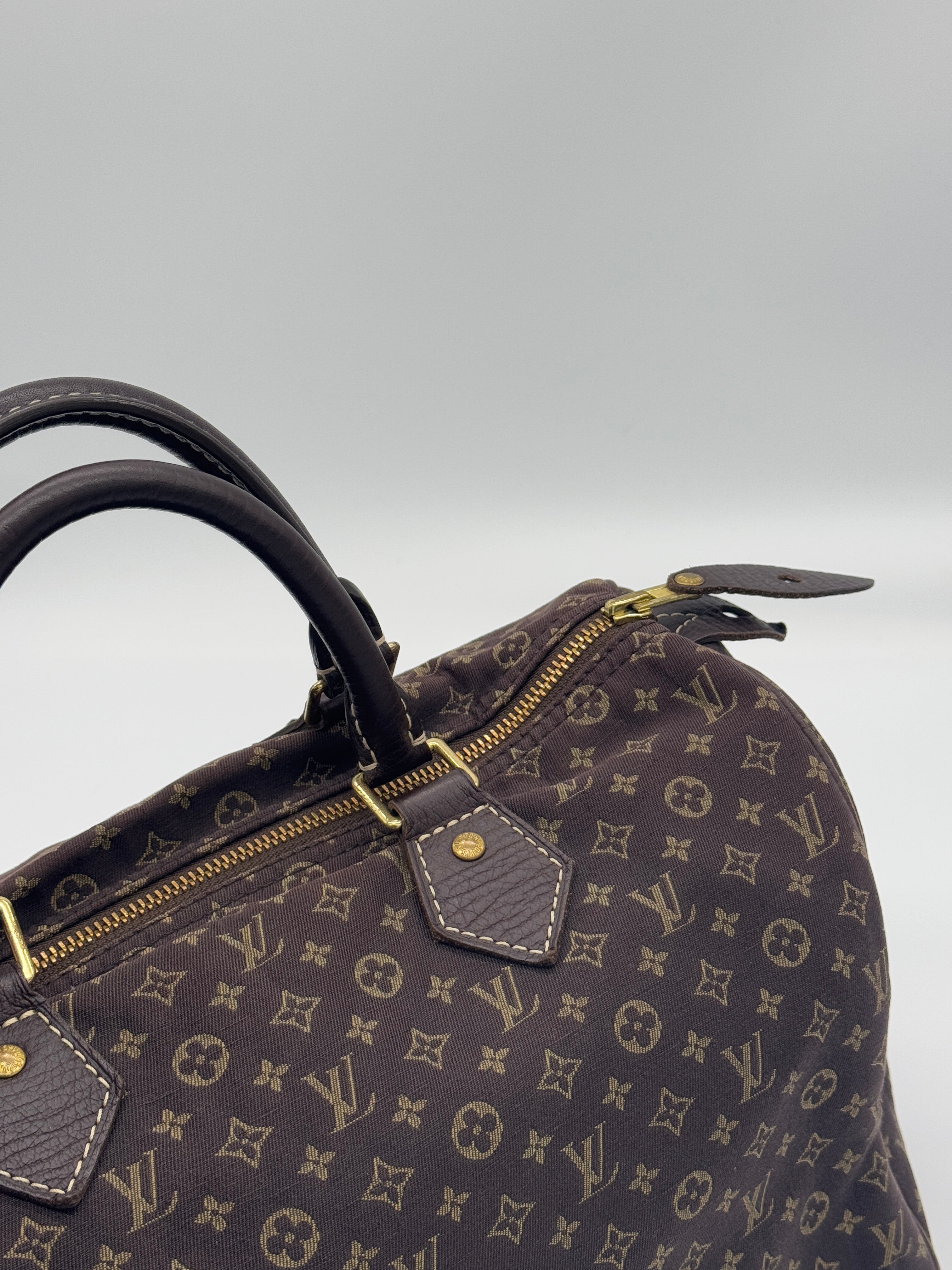 Louis Vuitton Mini Lin Speedy 30