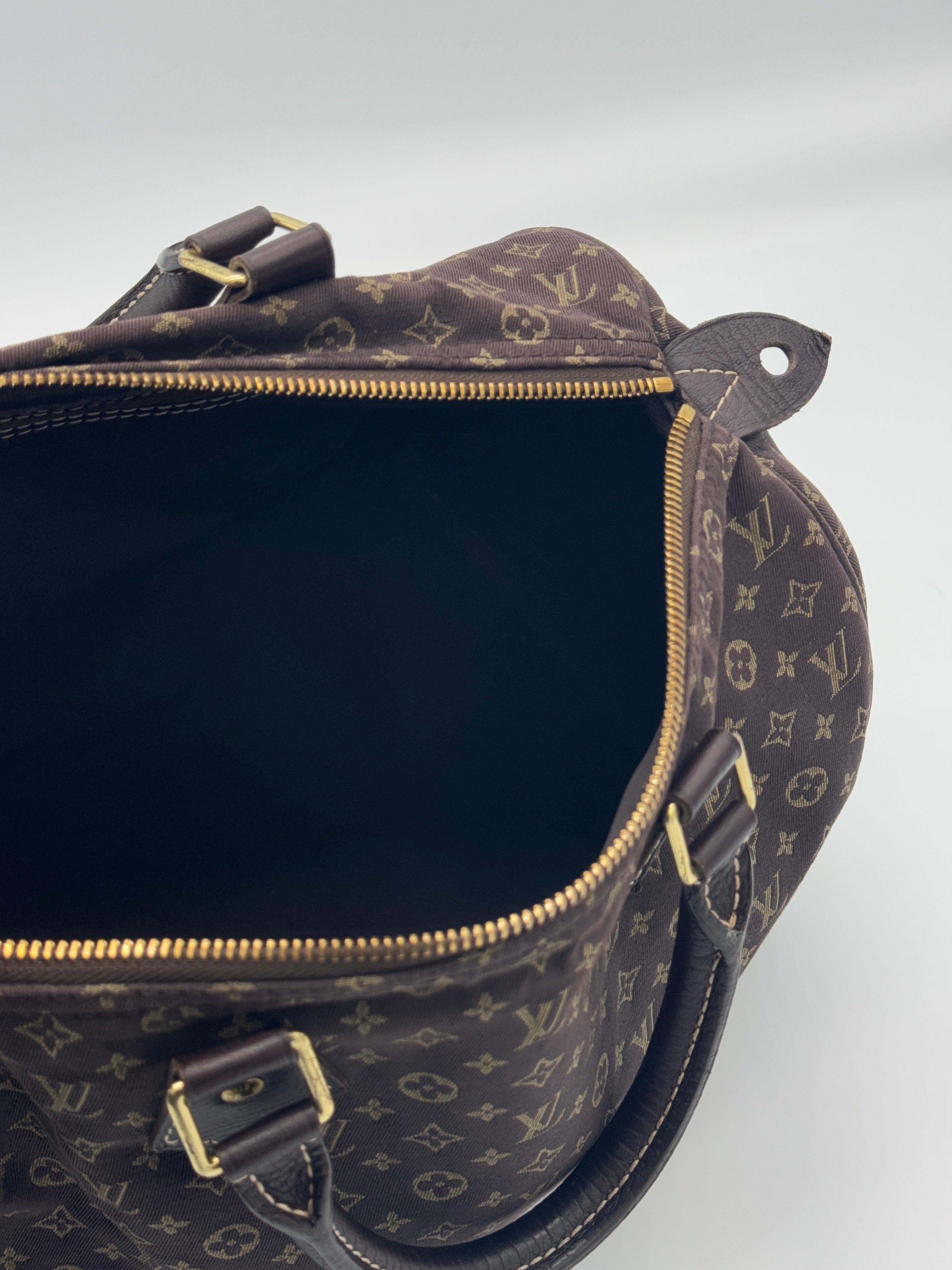 Louis Vuitton Mini Lin Speedy 30