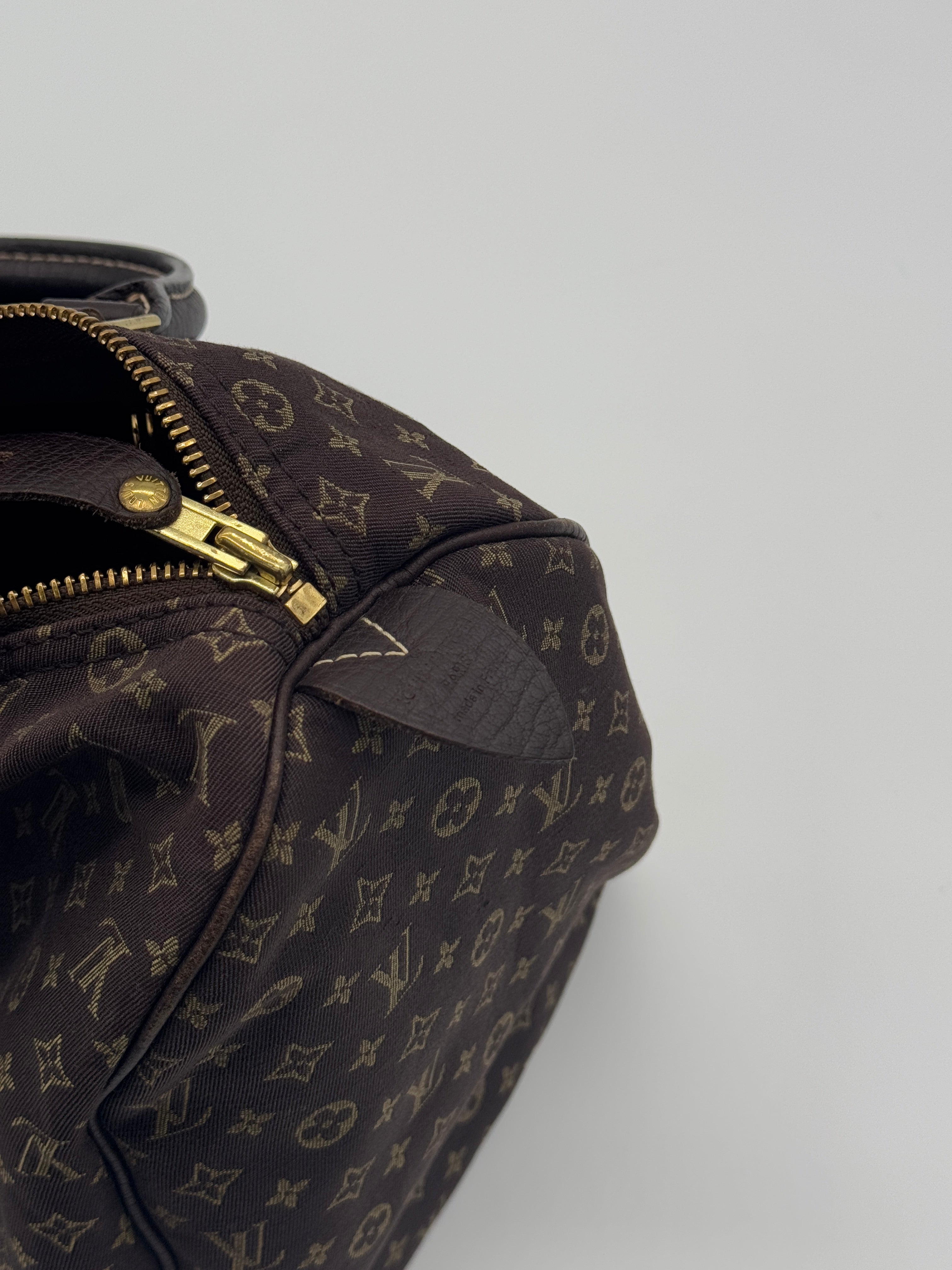 Louis Vuitton Mini Lin Speedy 30