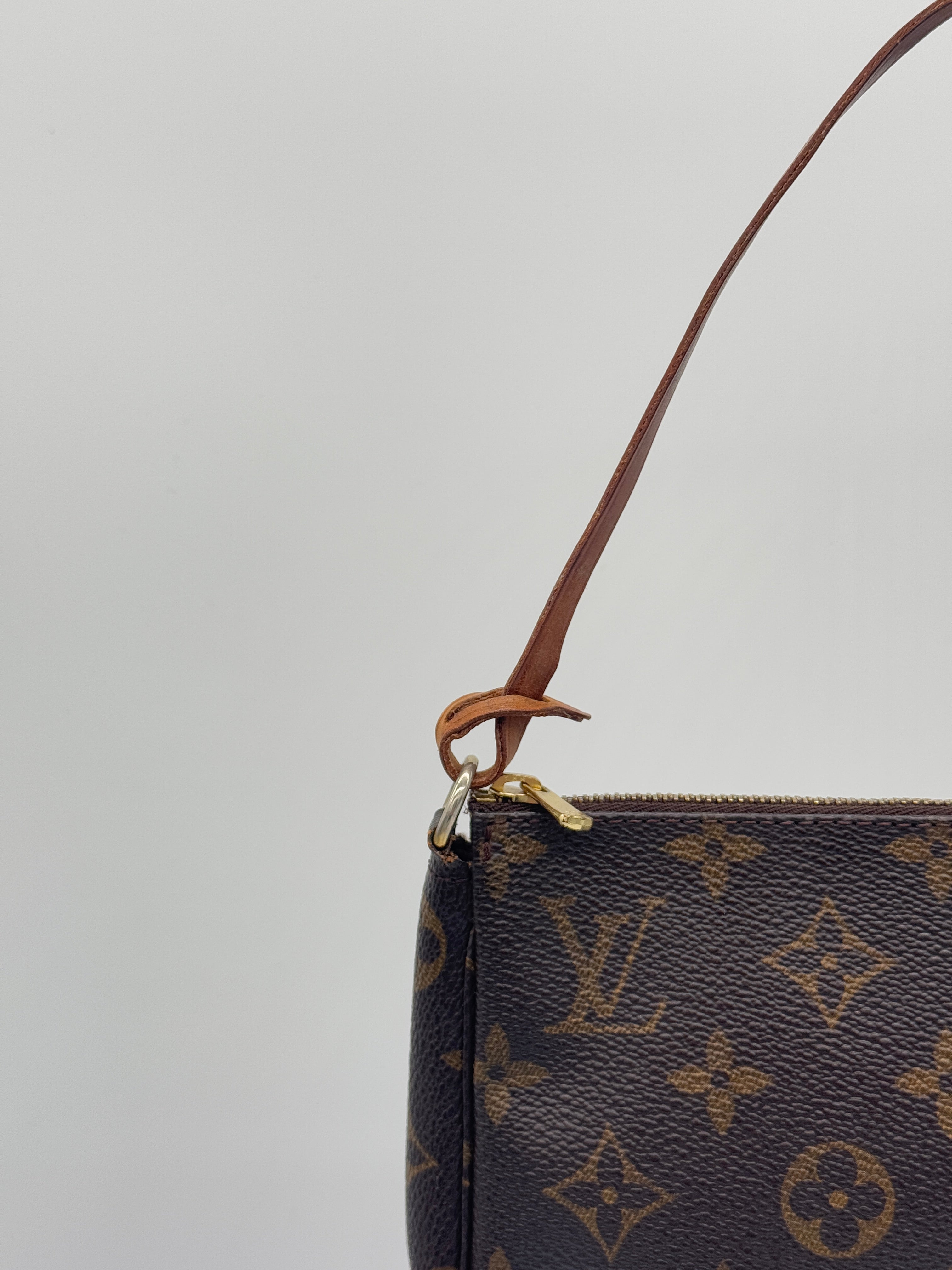 Louis Vuitton Pochette Accessoires