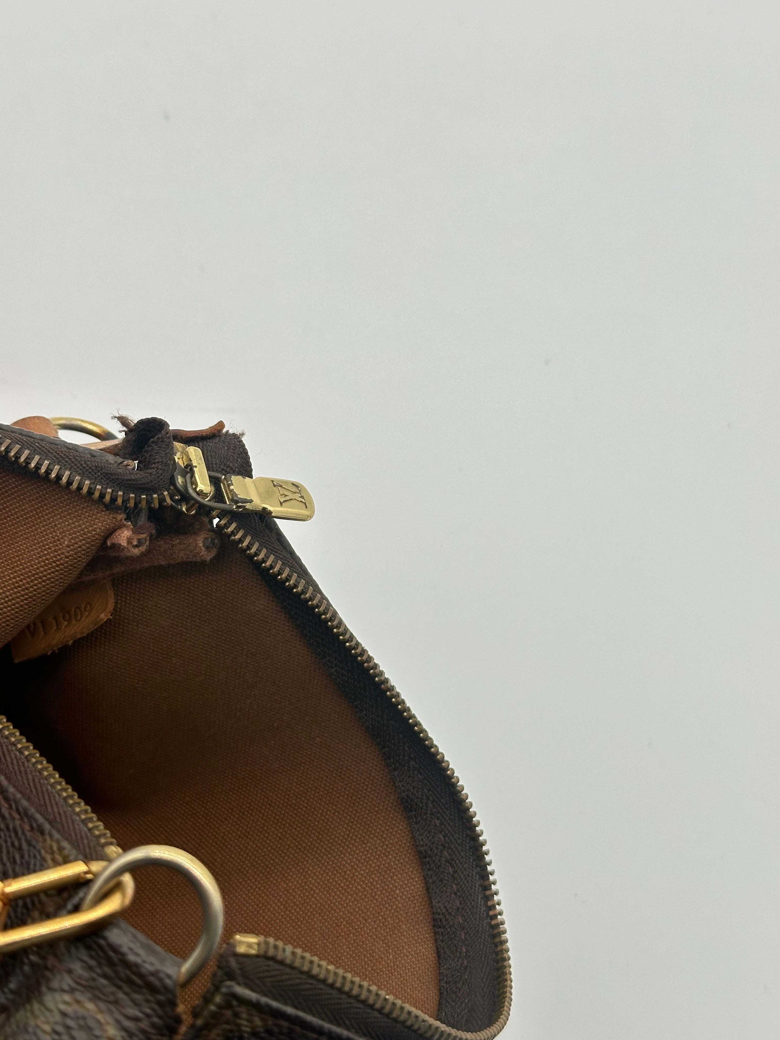 Louis Vuitton Pochette Accessoires