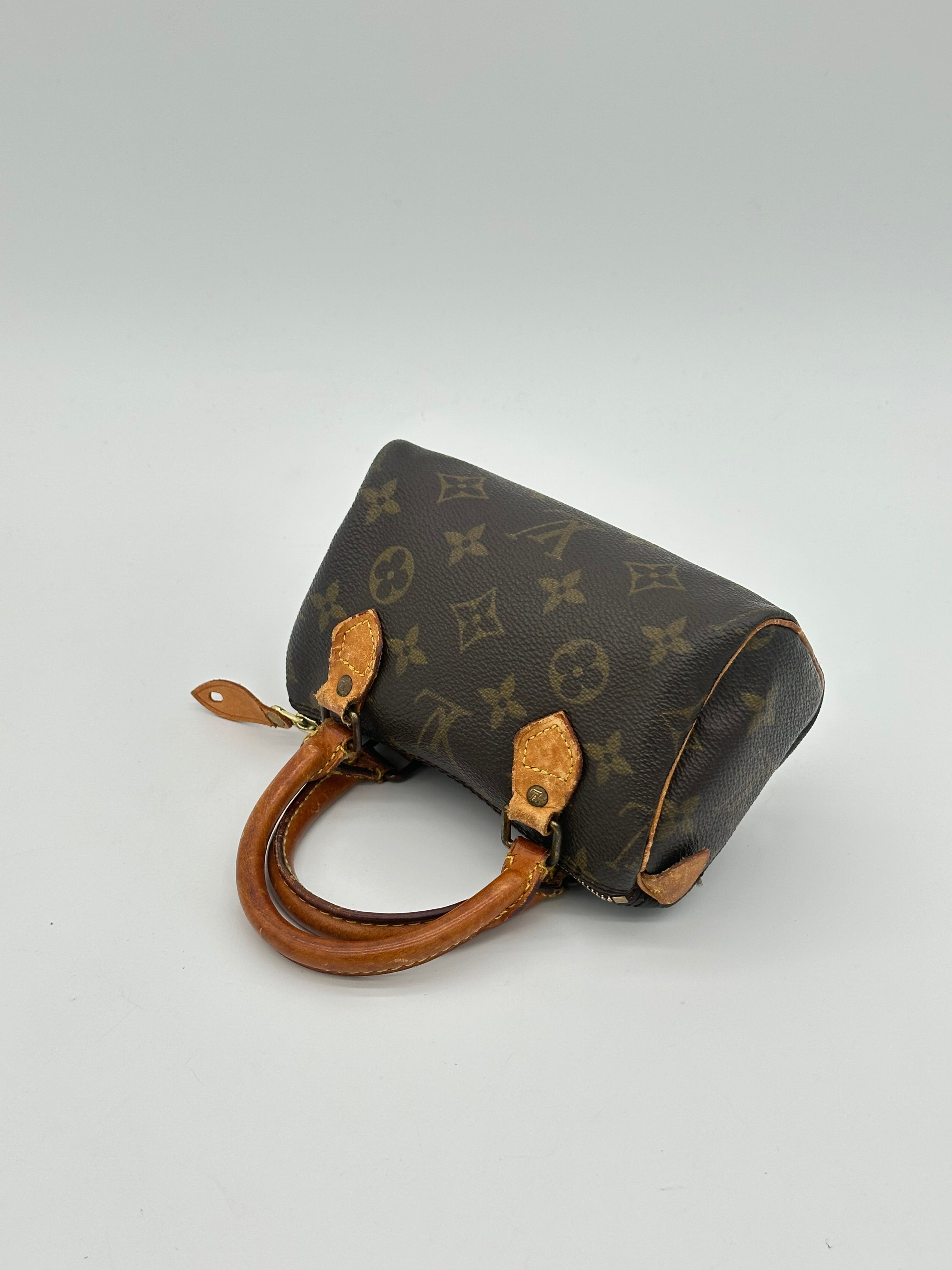 Louis Vuitton Nano Speedy