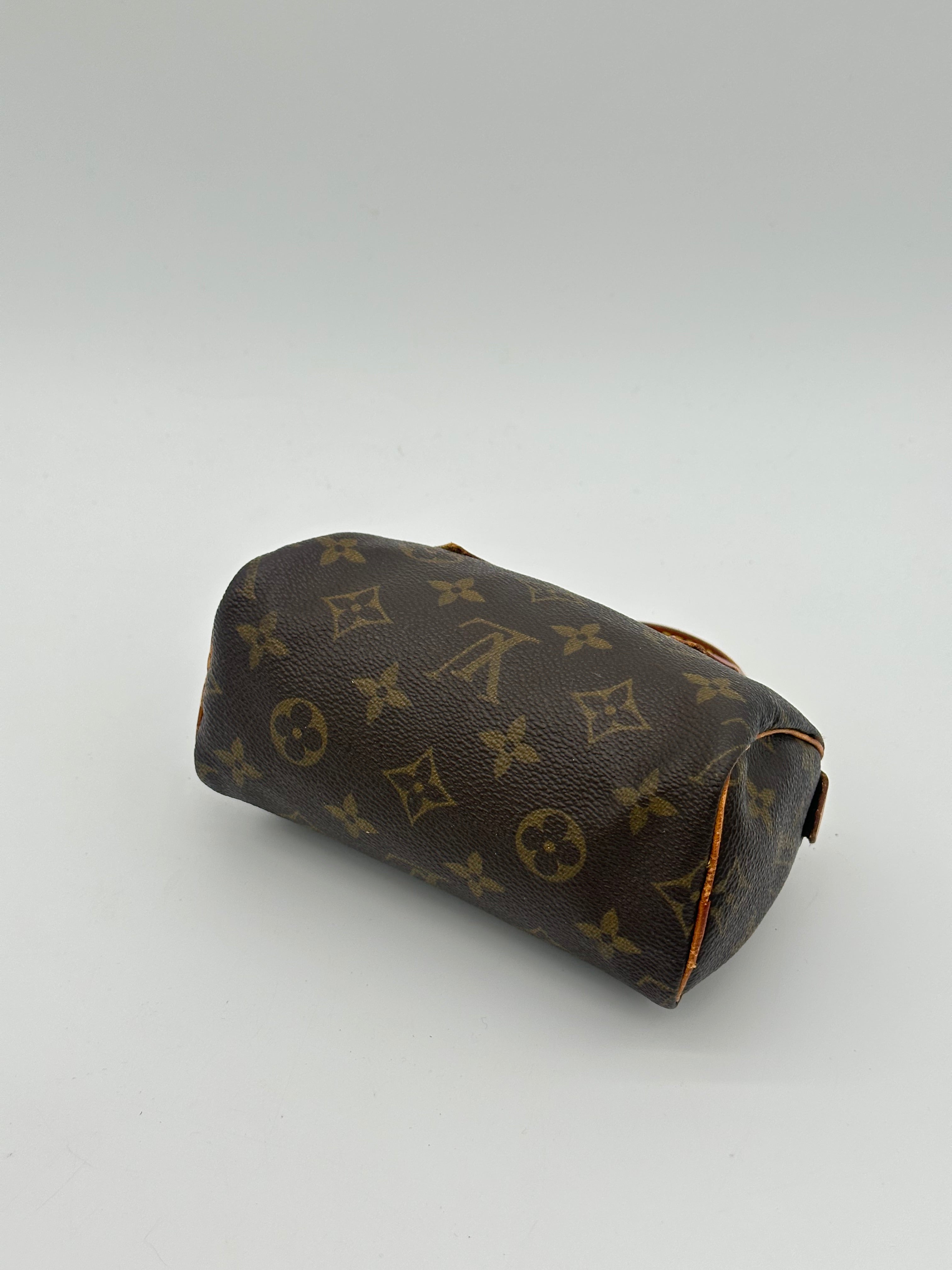 Louis Vuitton Nano Speedy
