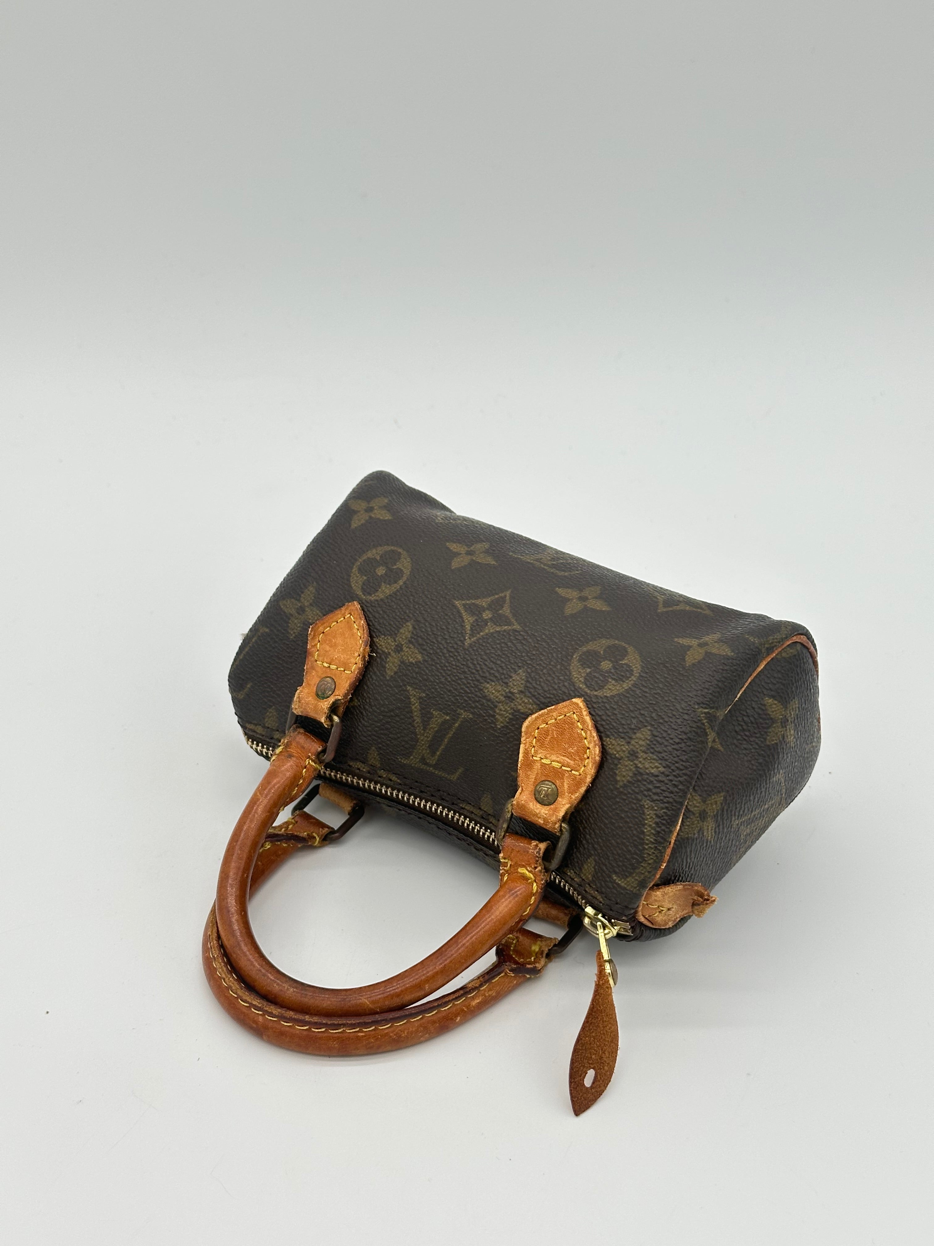Louis Vuitton Nano Speedy