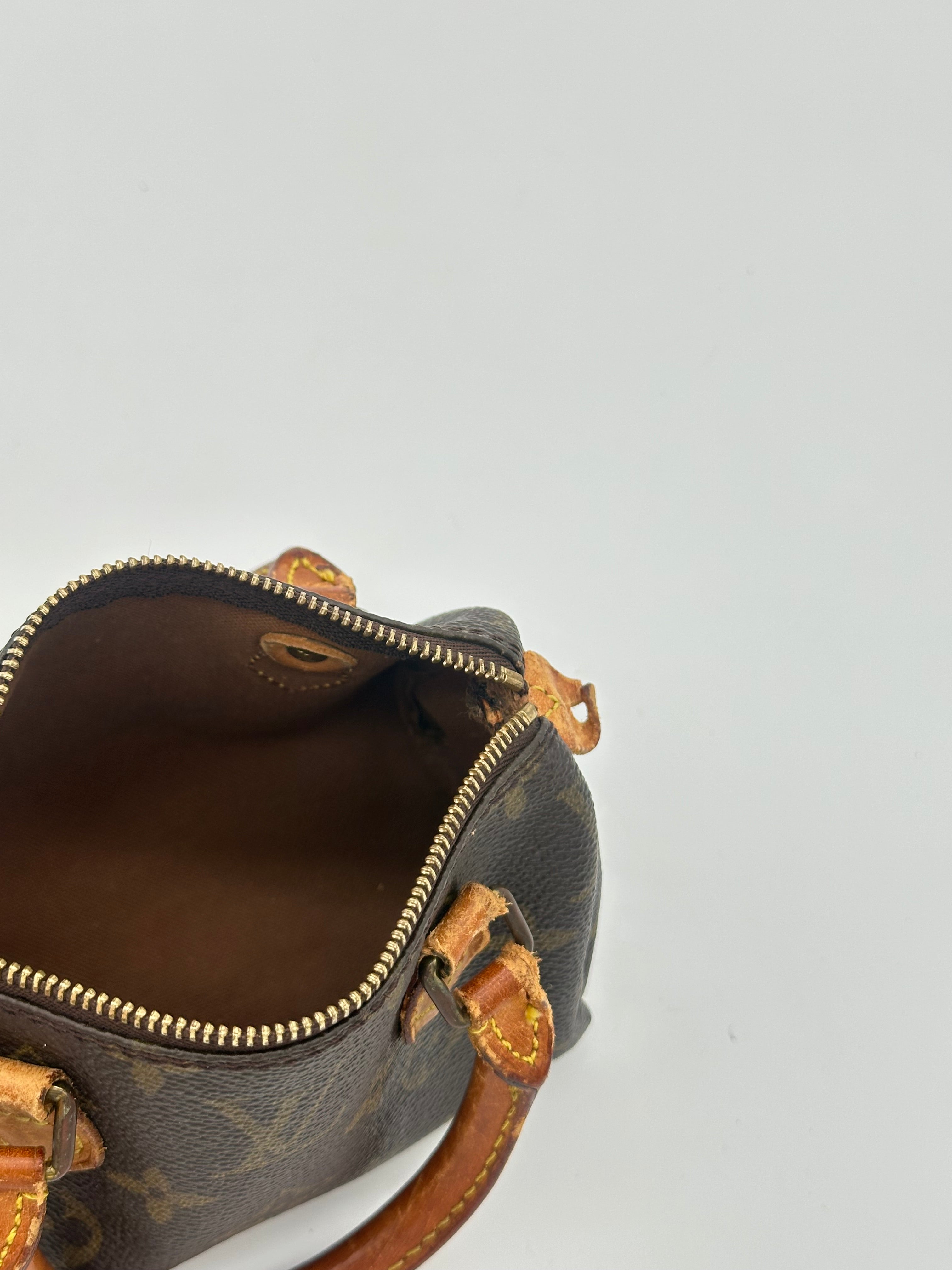 Louis Vuitton Nano Speedy