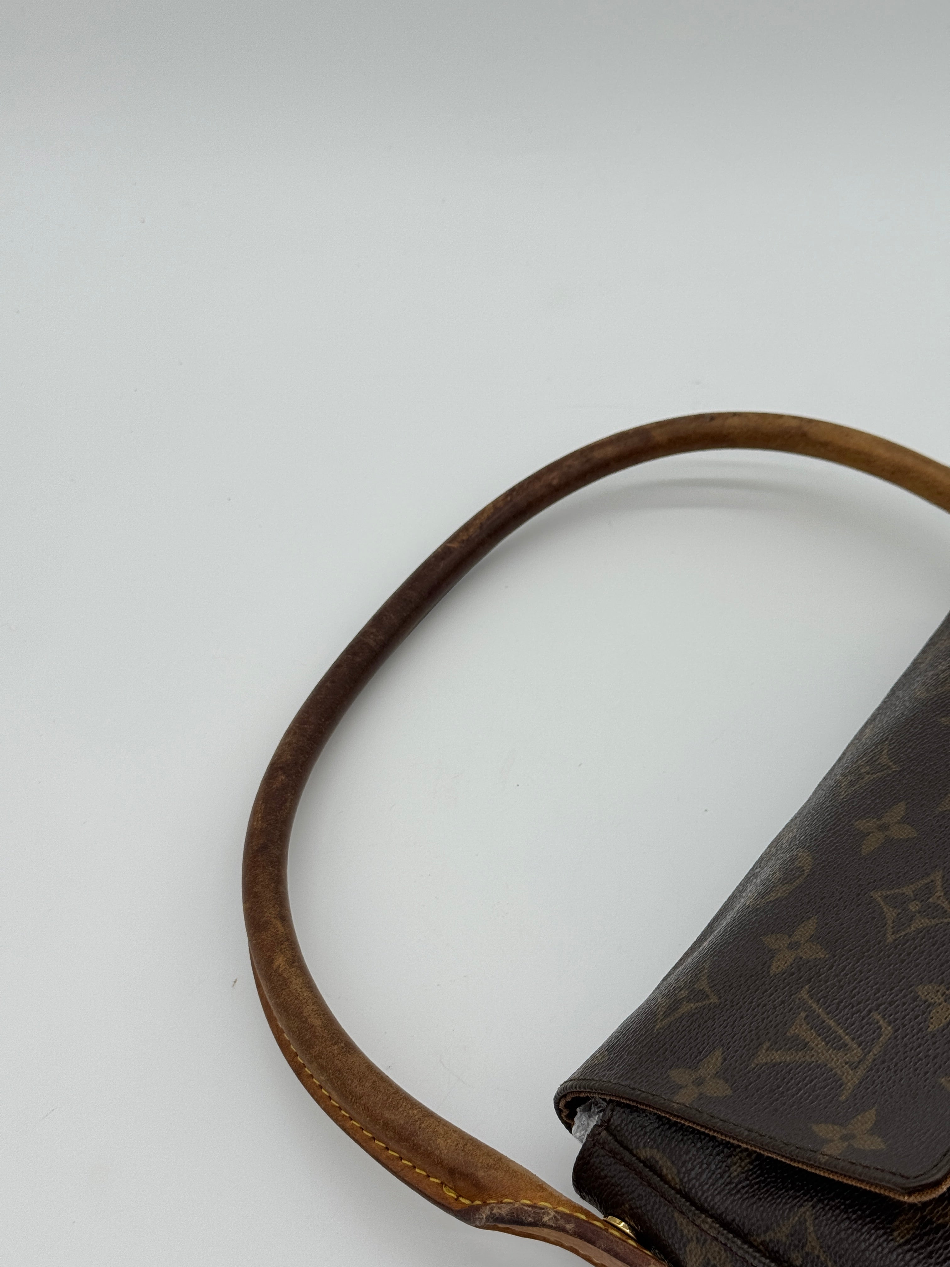Louis Vuitton Mini Looping