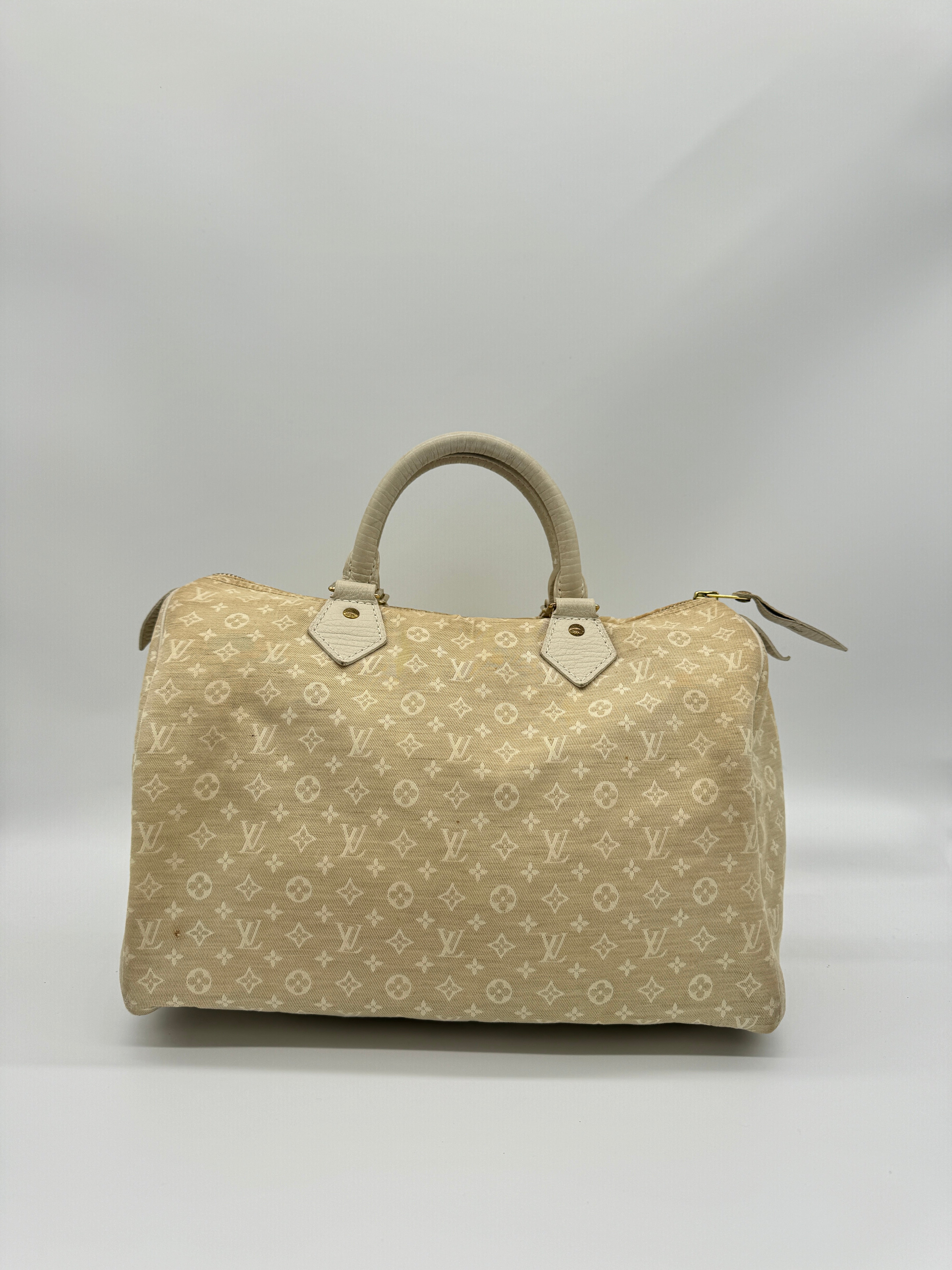 Louis Vuitton Mini Lin Speedy 30