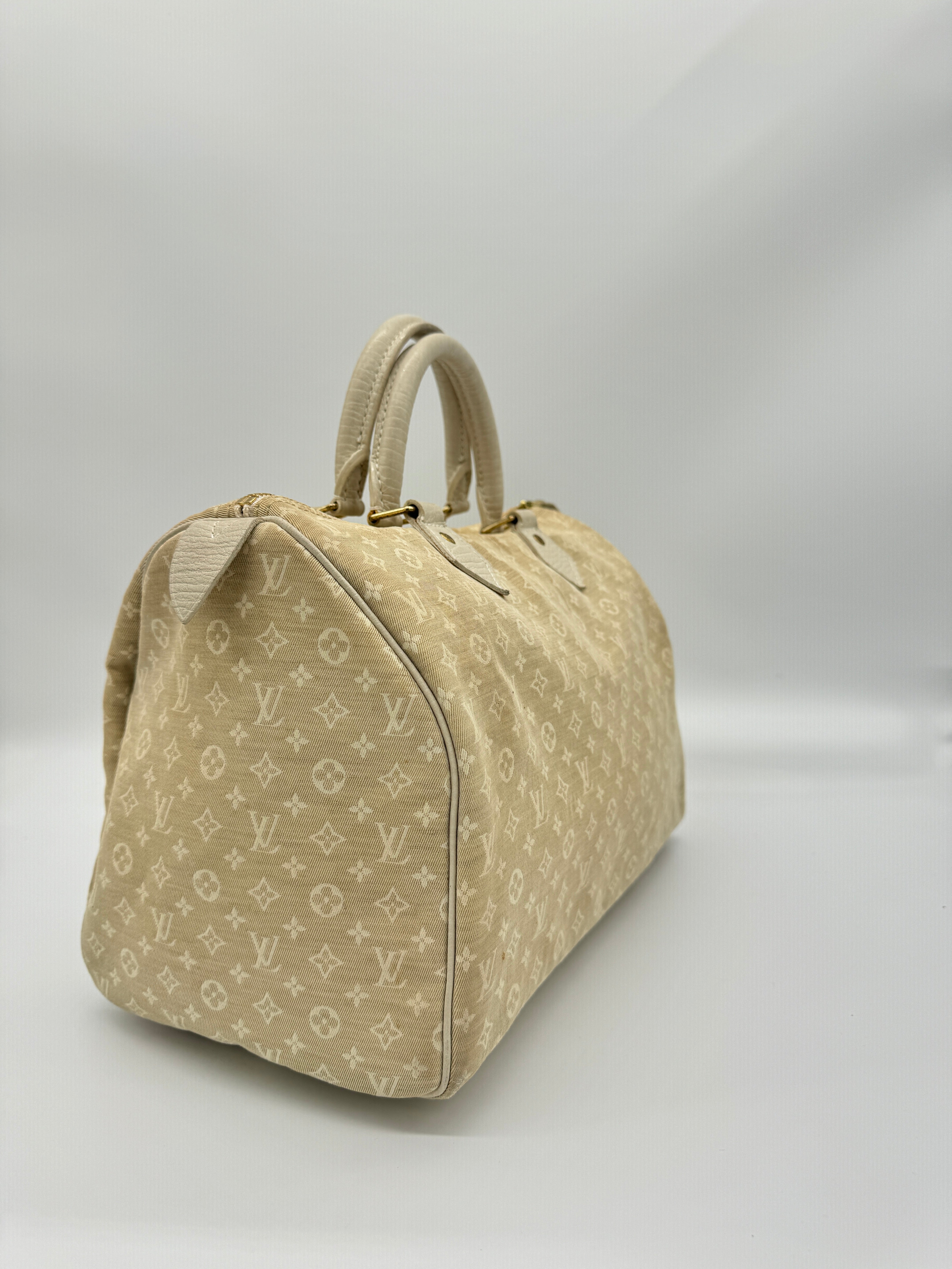 Louis Vuitton Mini Lin Speedy 30