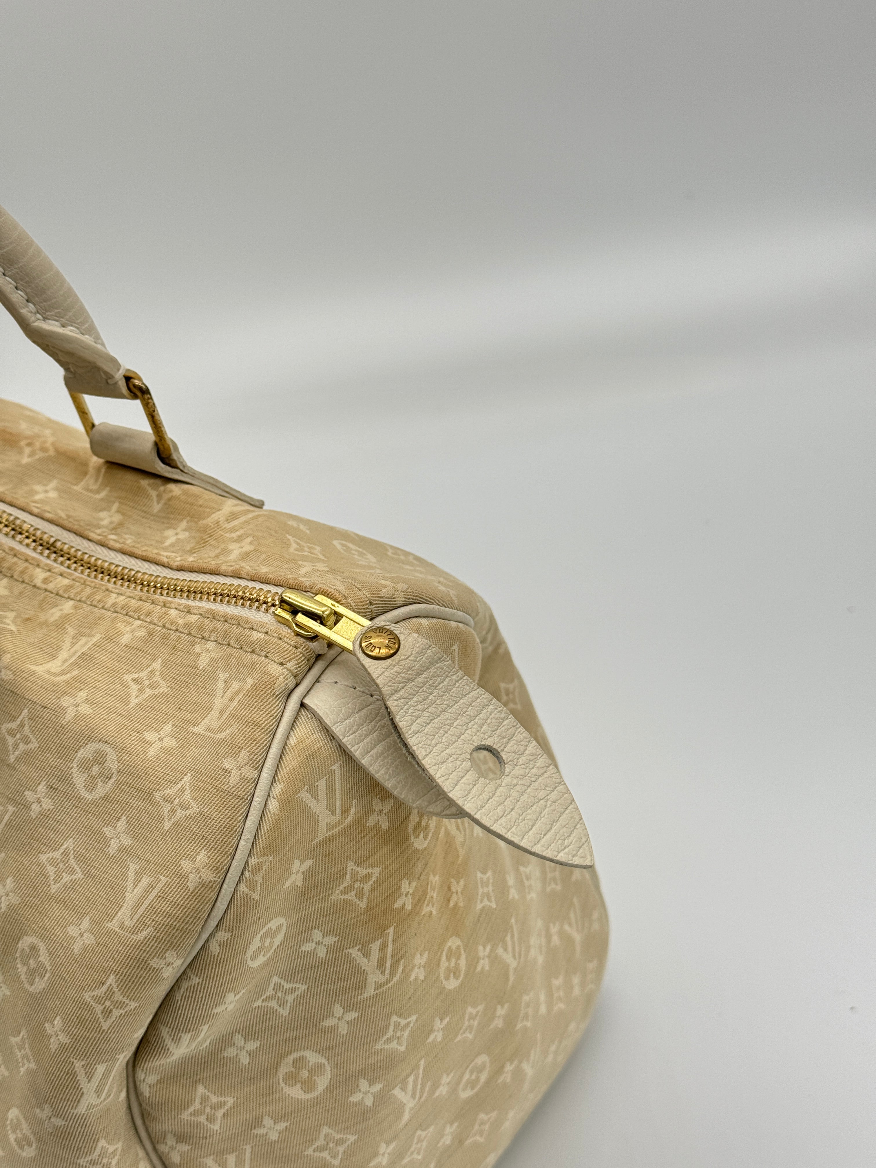 Louis Vuitton Mini Lin Speedy 30