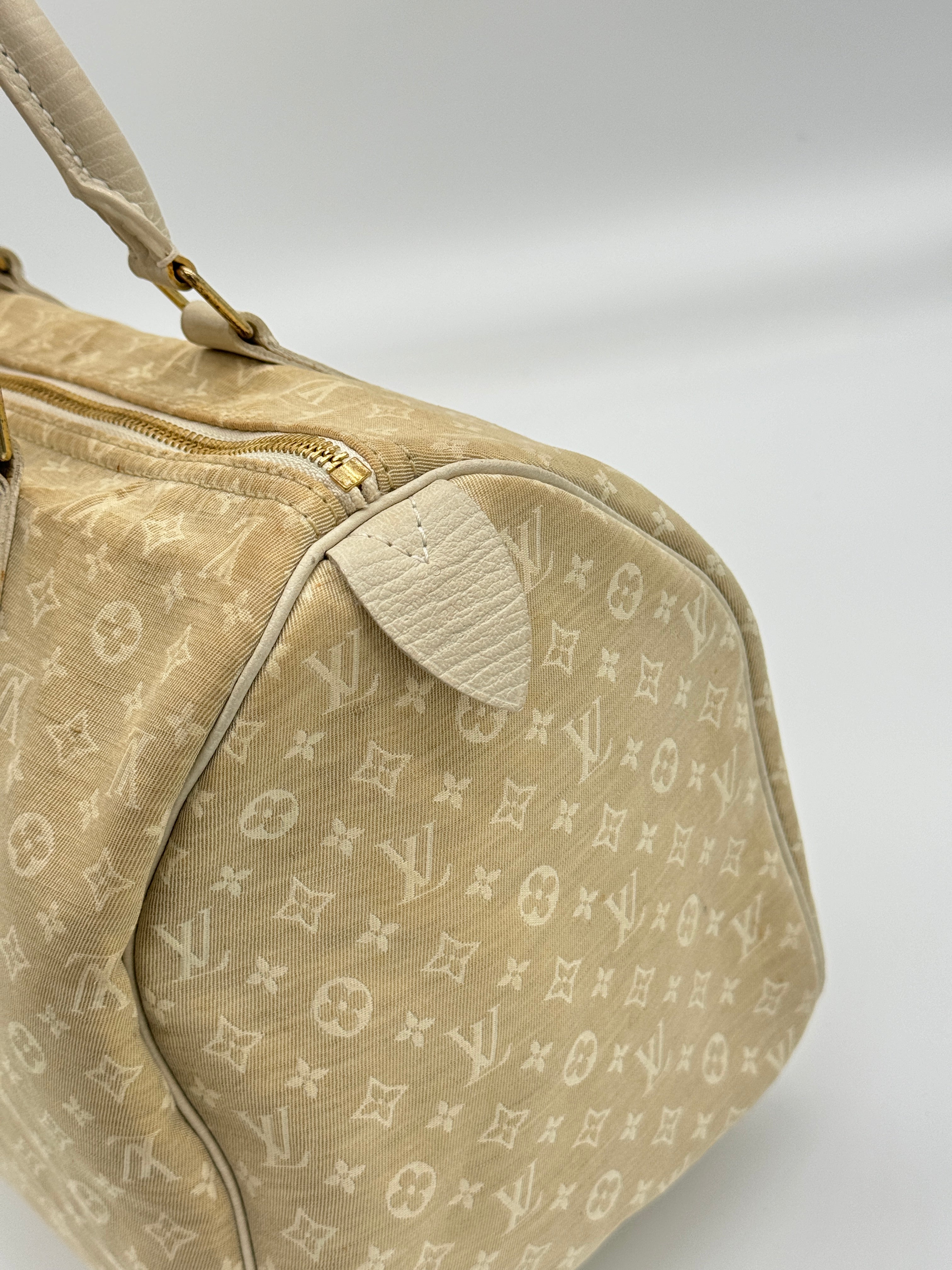 Louis Vuitton Mini Lin Speedy 30