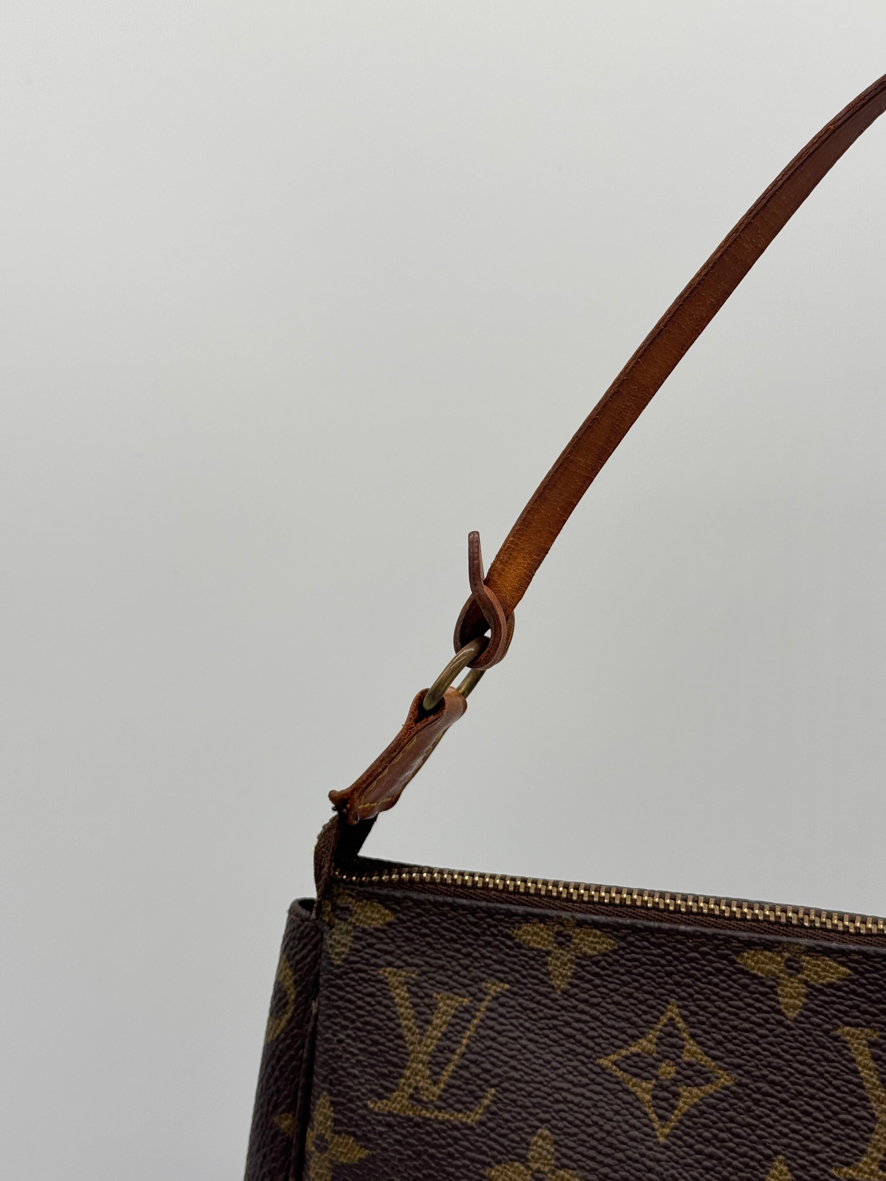 Louis Vuitton Pochette Accessoires