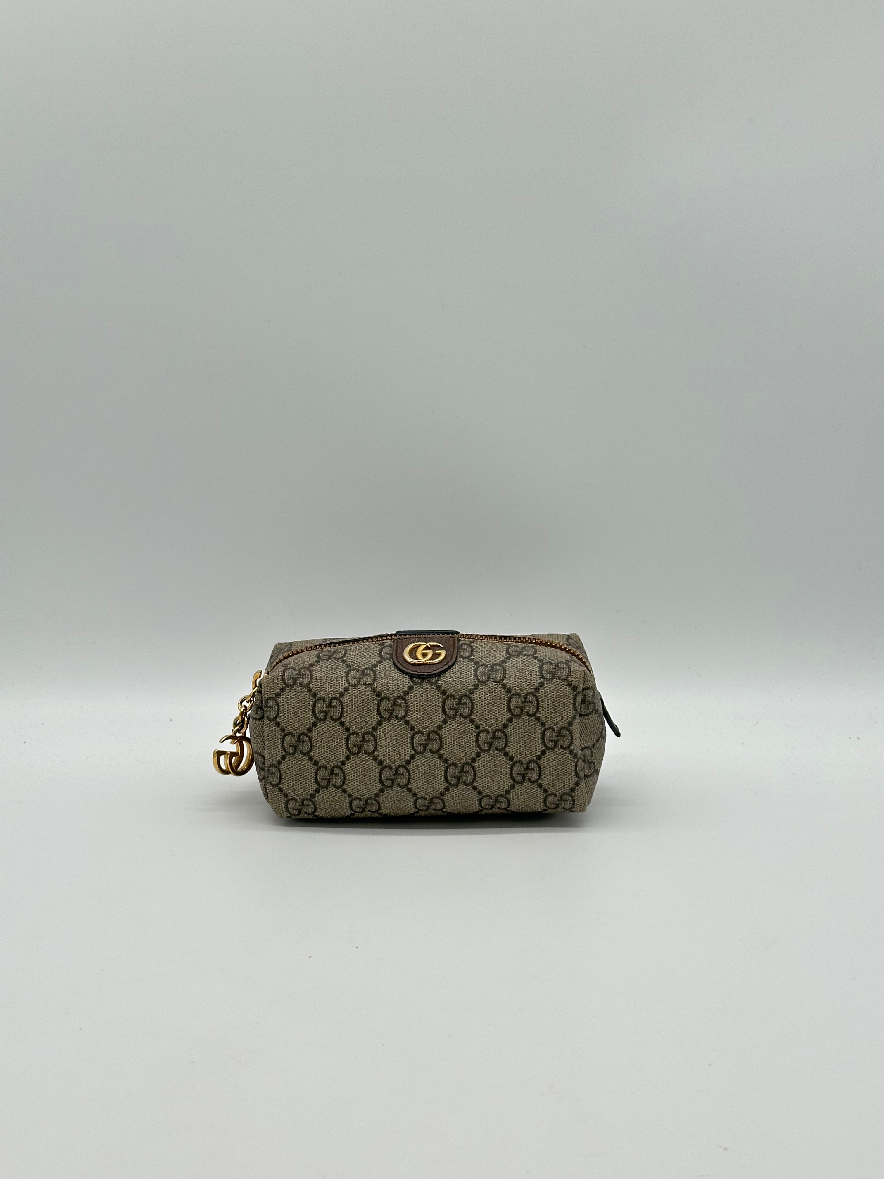 Gucci Ophidia Pouch