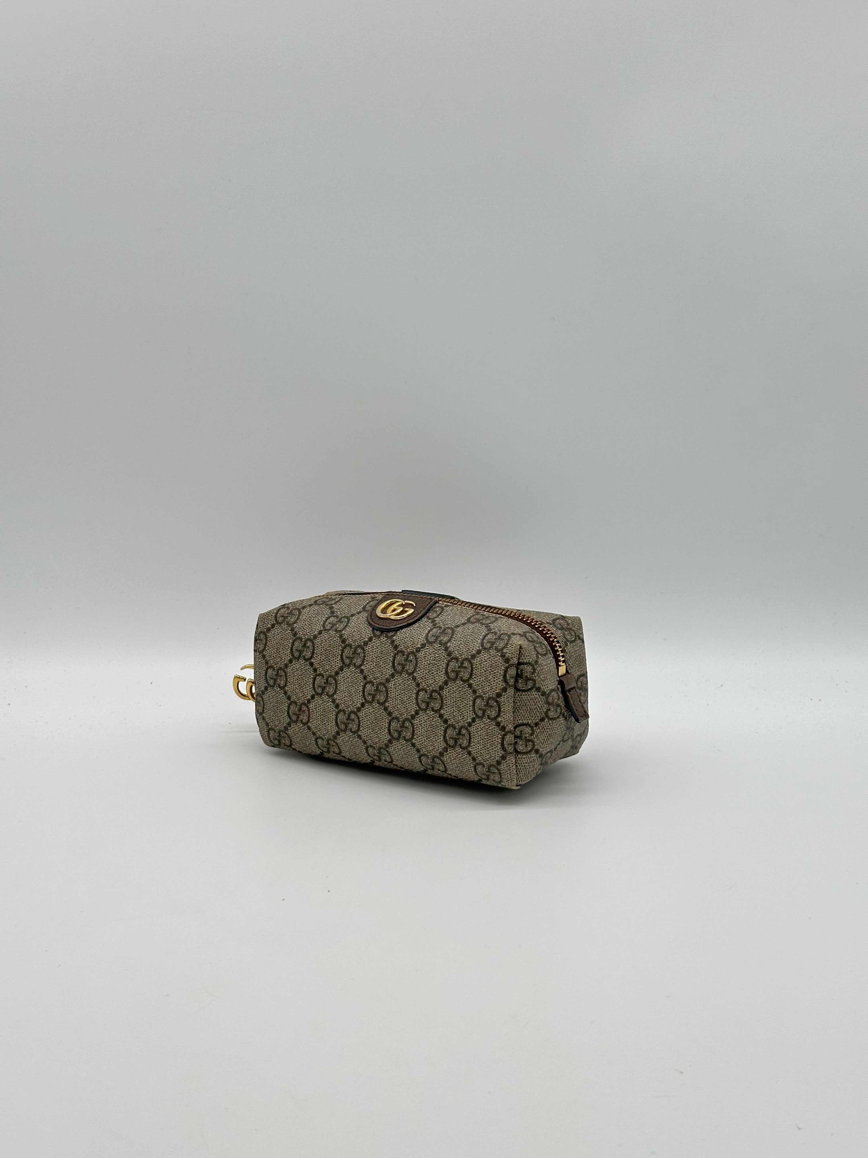 Gucci Ophidia Pouch
