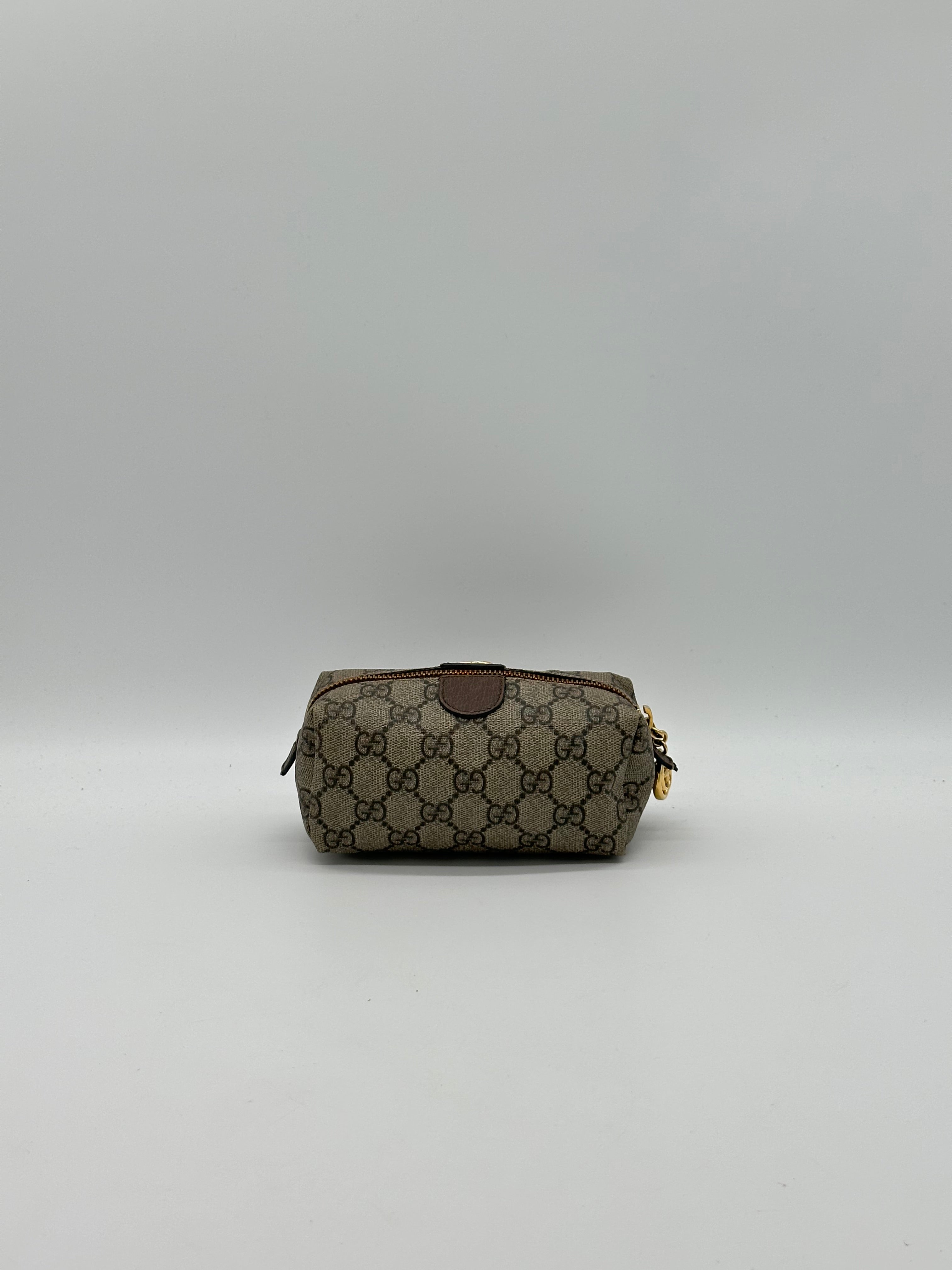 Gucci Ophidia Pouch